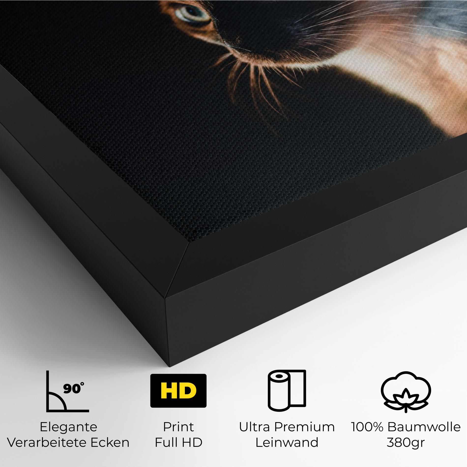 Blue Eyes Cat In Dark mockup 4