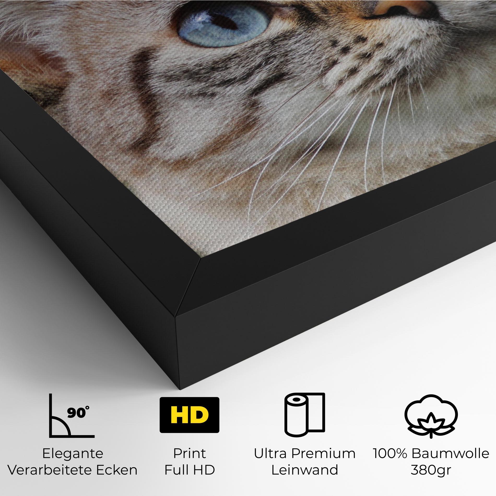 Leinwandbild Blue Eyes Cutie mockup 4