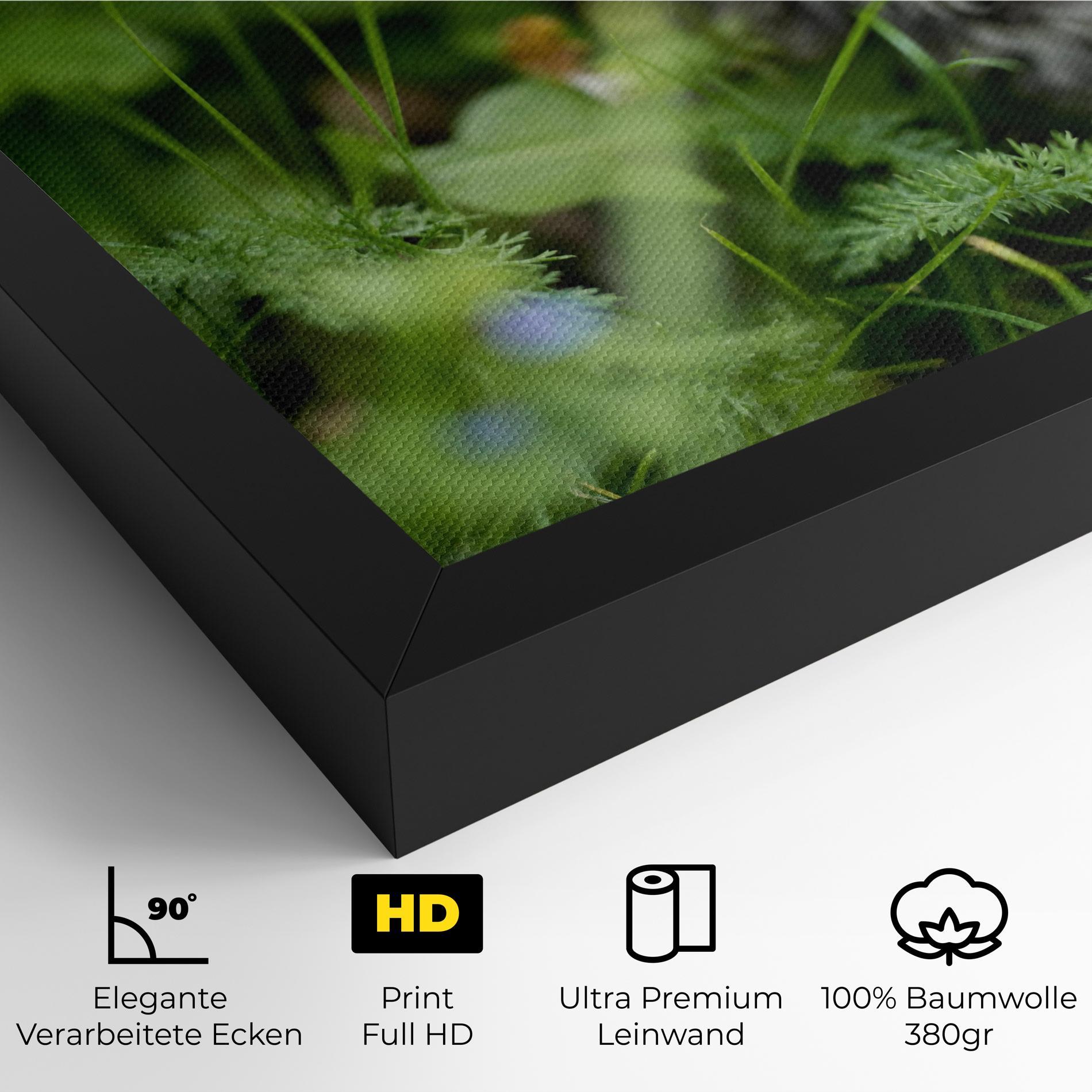 Leinwandbild Brown Baby Cat mockup 4