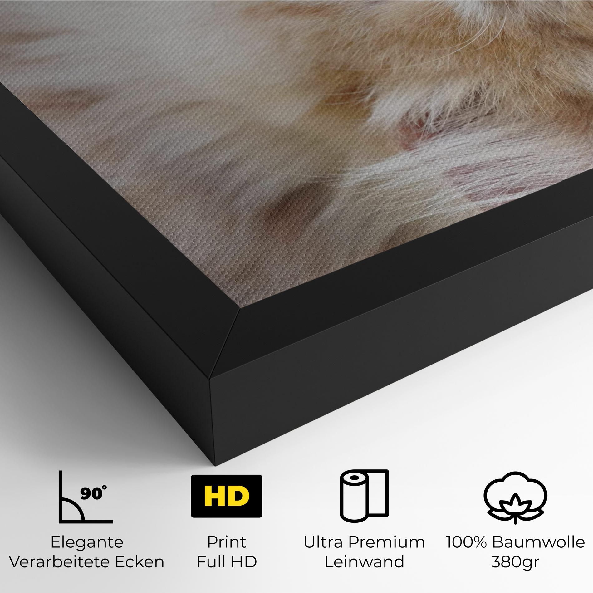 Close Up Yellow Eyes Cat mockup 4