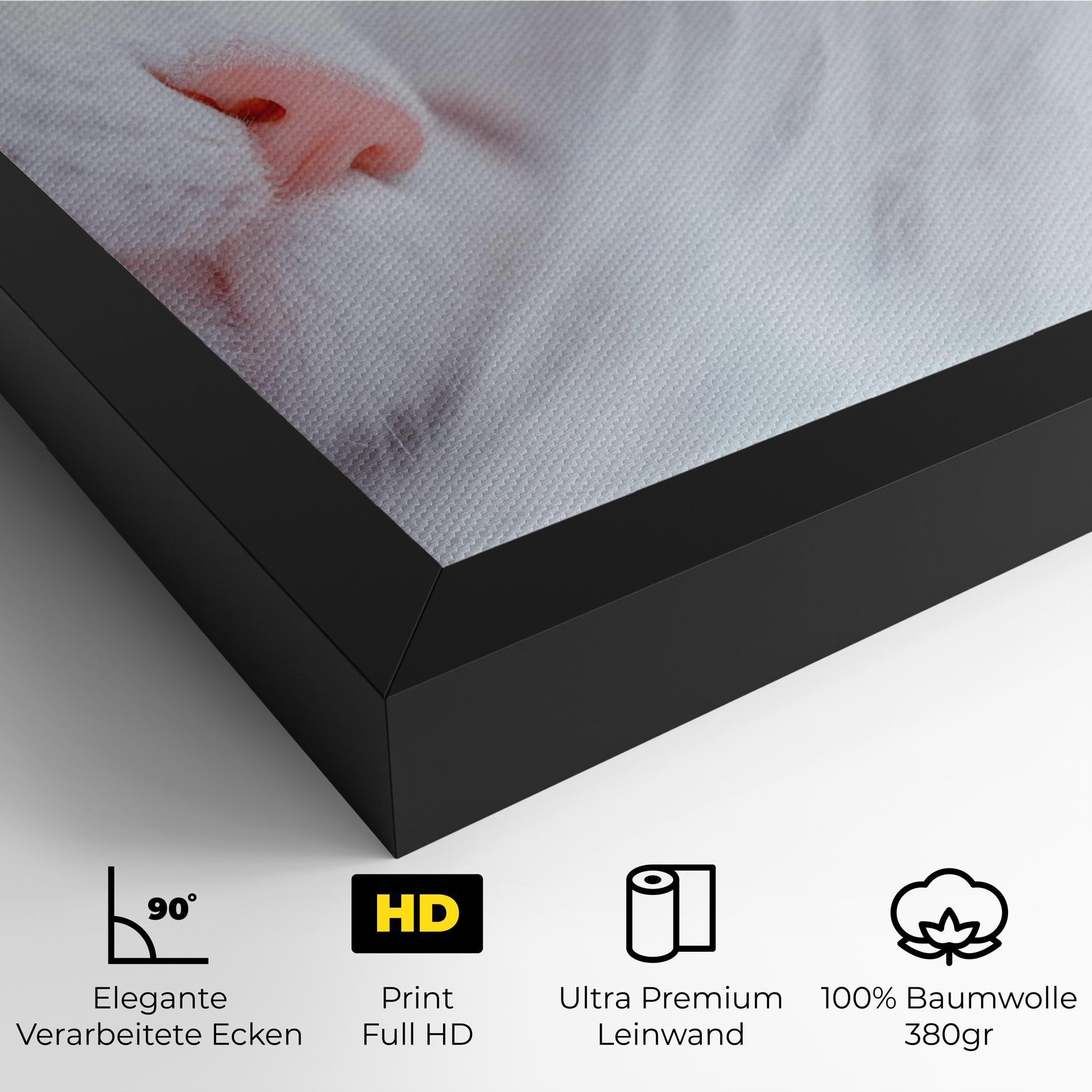 Leinwandbild Dreamy White Cat mockup 4