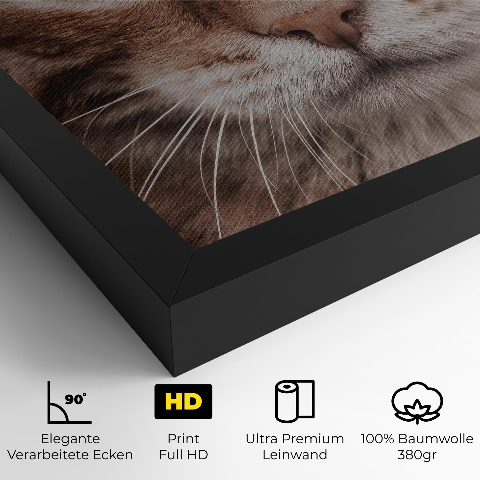 Leinwandbild Fire Eyes Cat mockup 4