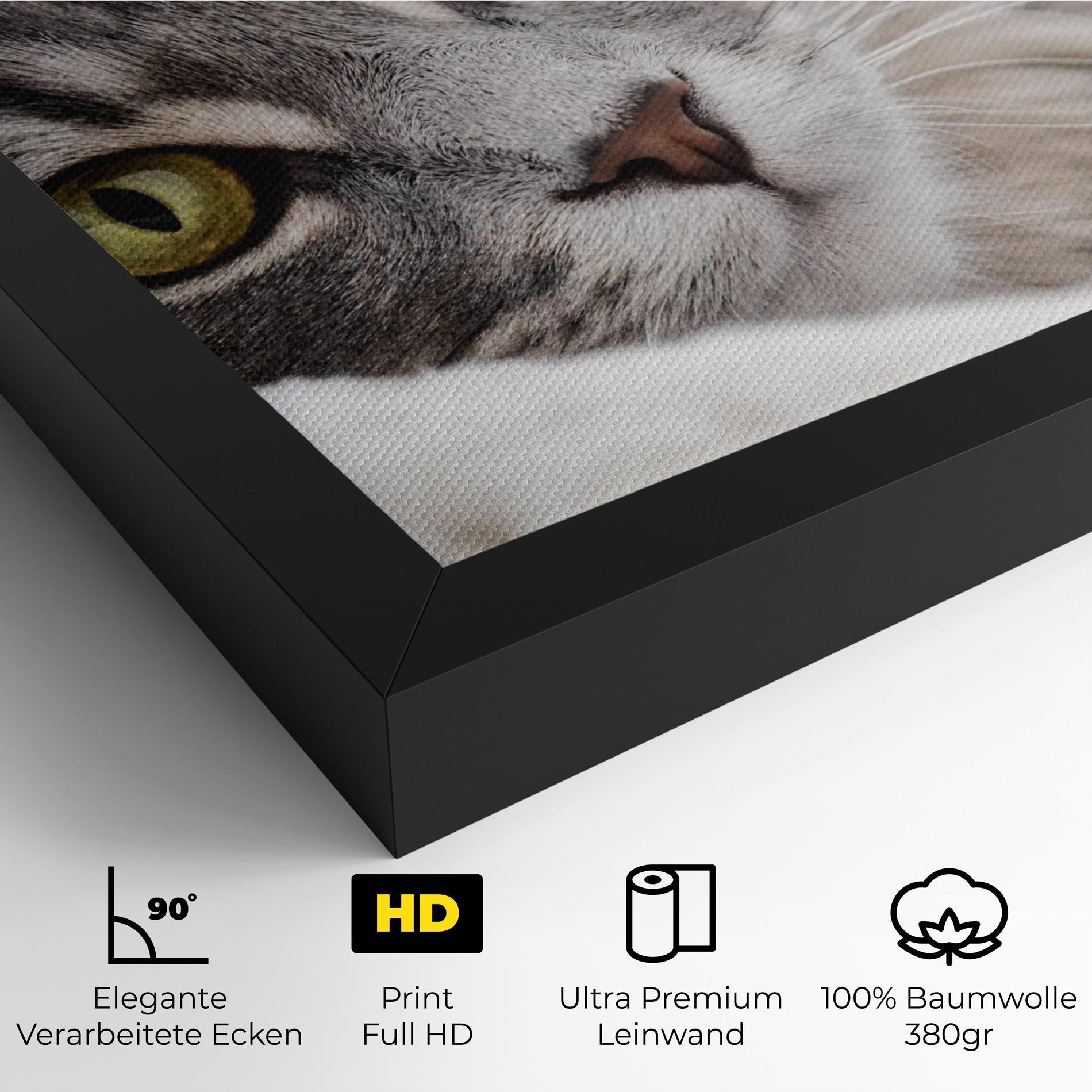 Leinwandbild Grey Fluffy Cat mockup 4