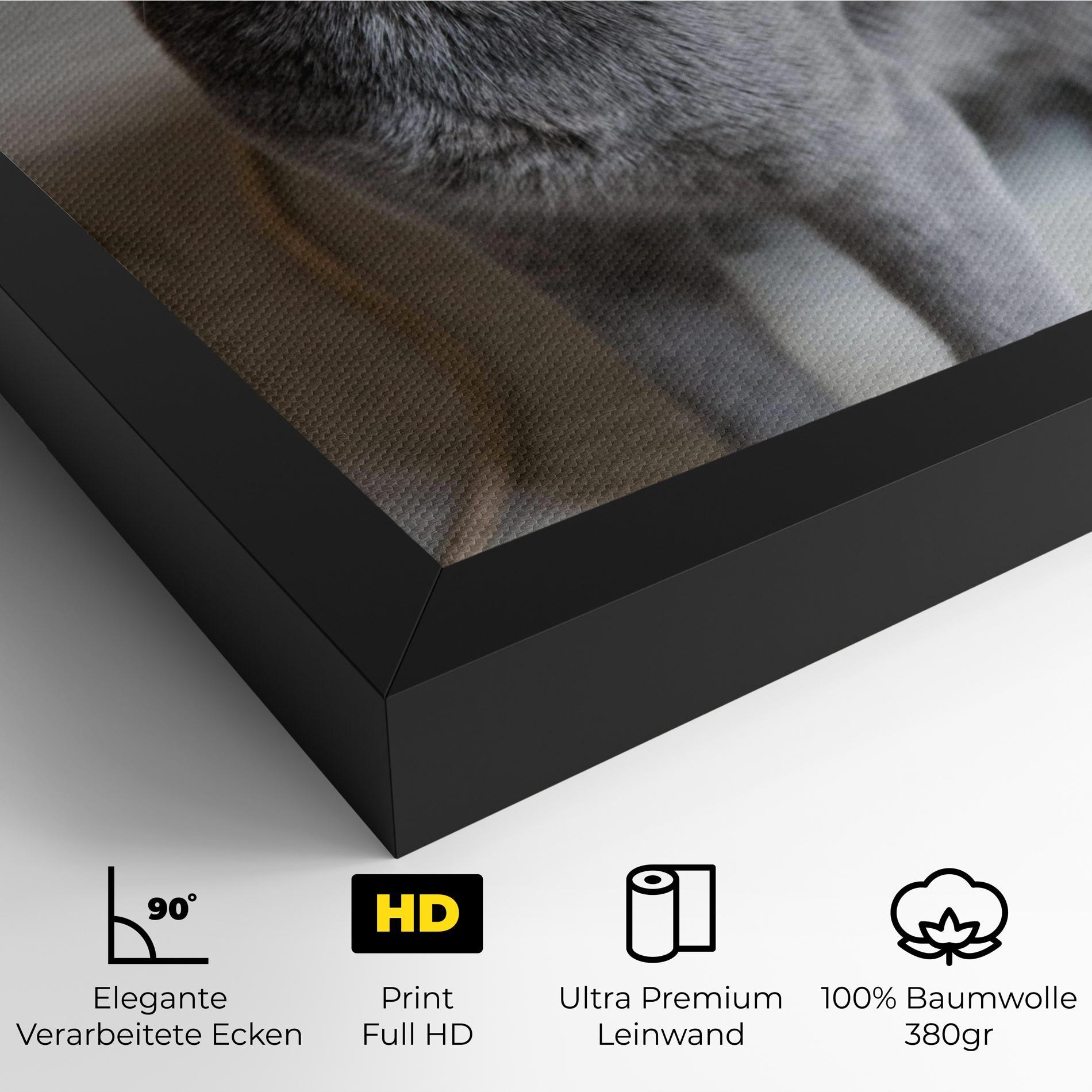 Leinwandbild Grey Green Cat Eyes mockup 4