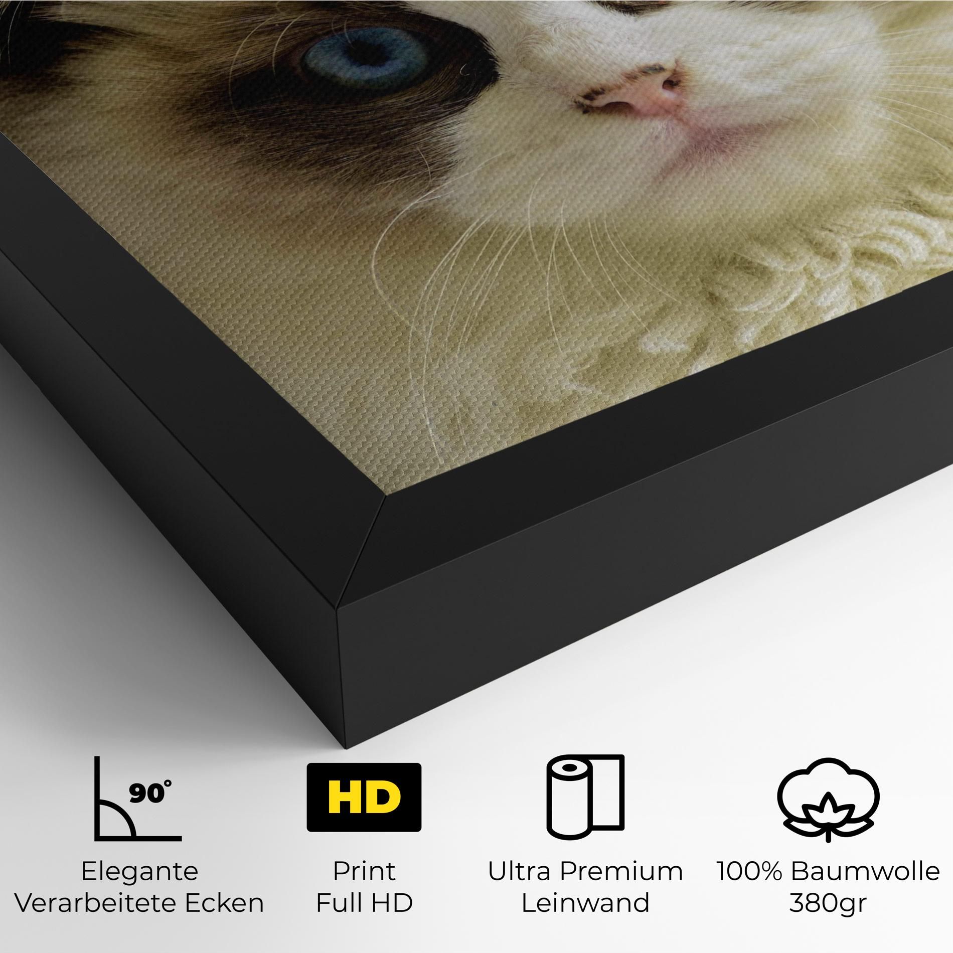 Interesting Blue Eyes Cat mockup 4