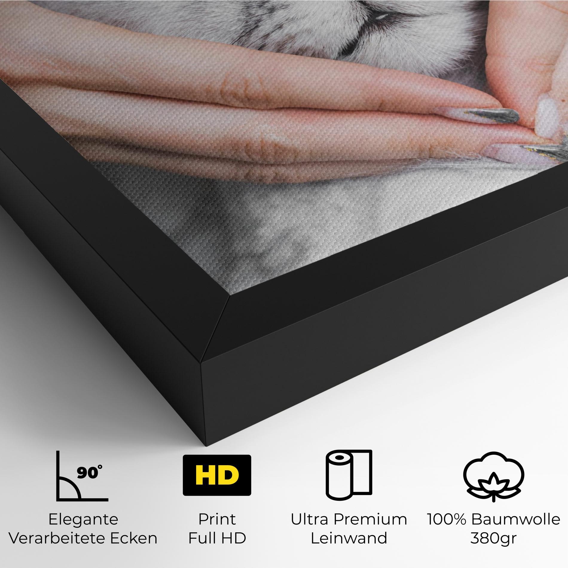 Leinwandbild Lovely Cat mockup 4