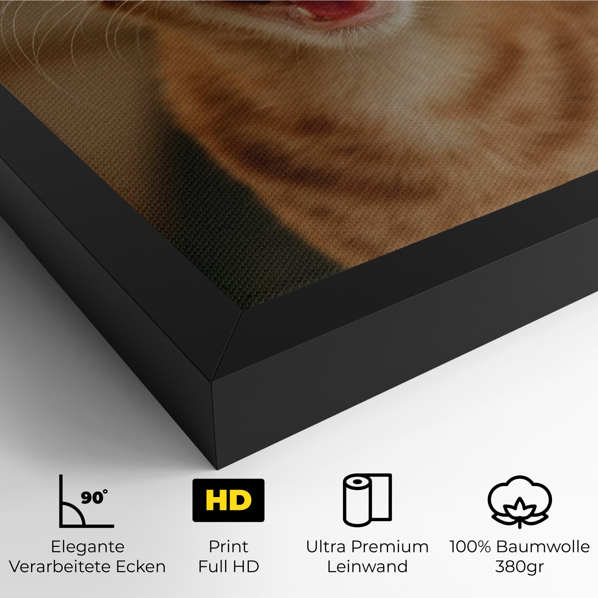 Orange Cat Smiling mockup 4
