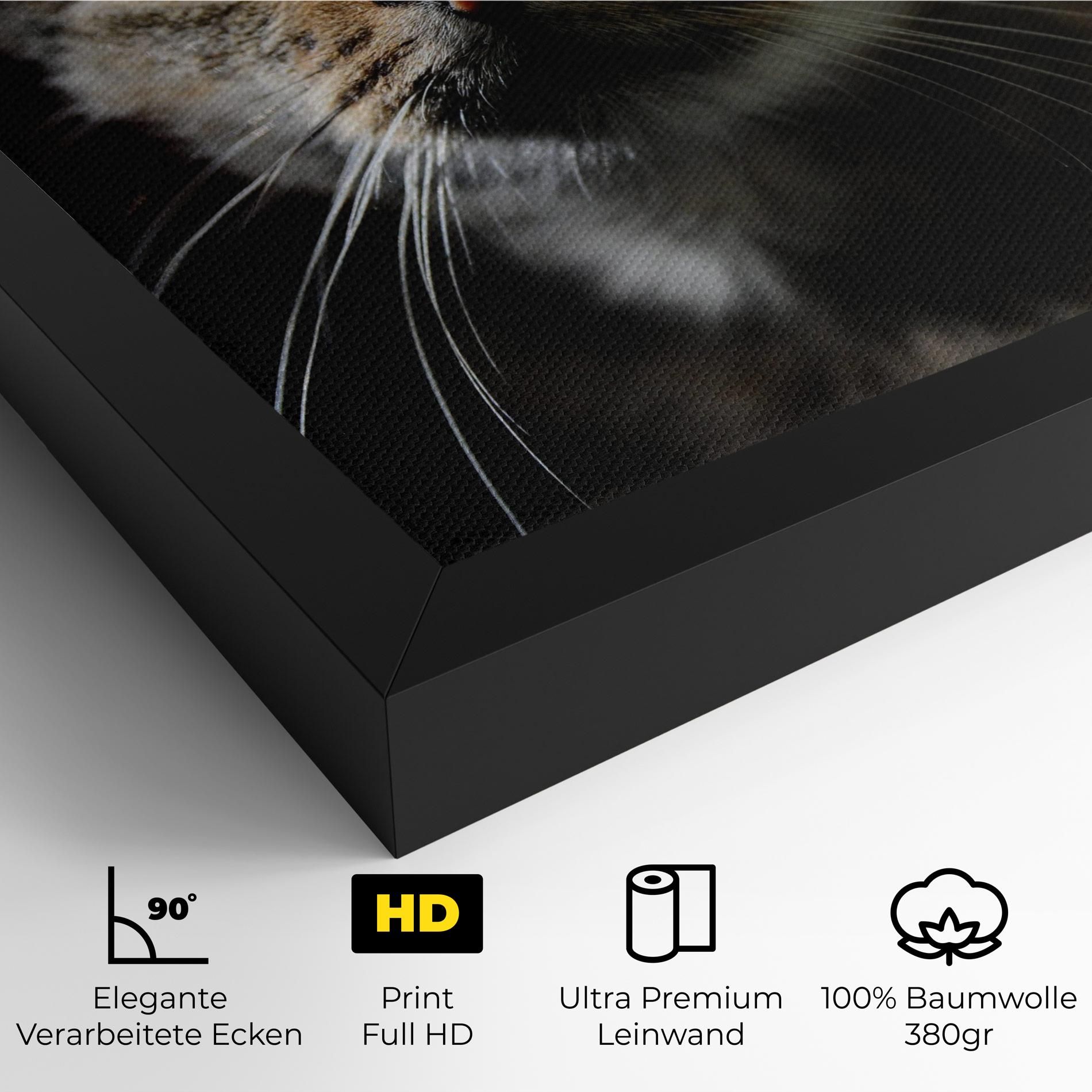 Playful Cat mockup 4