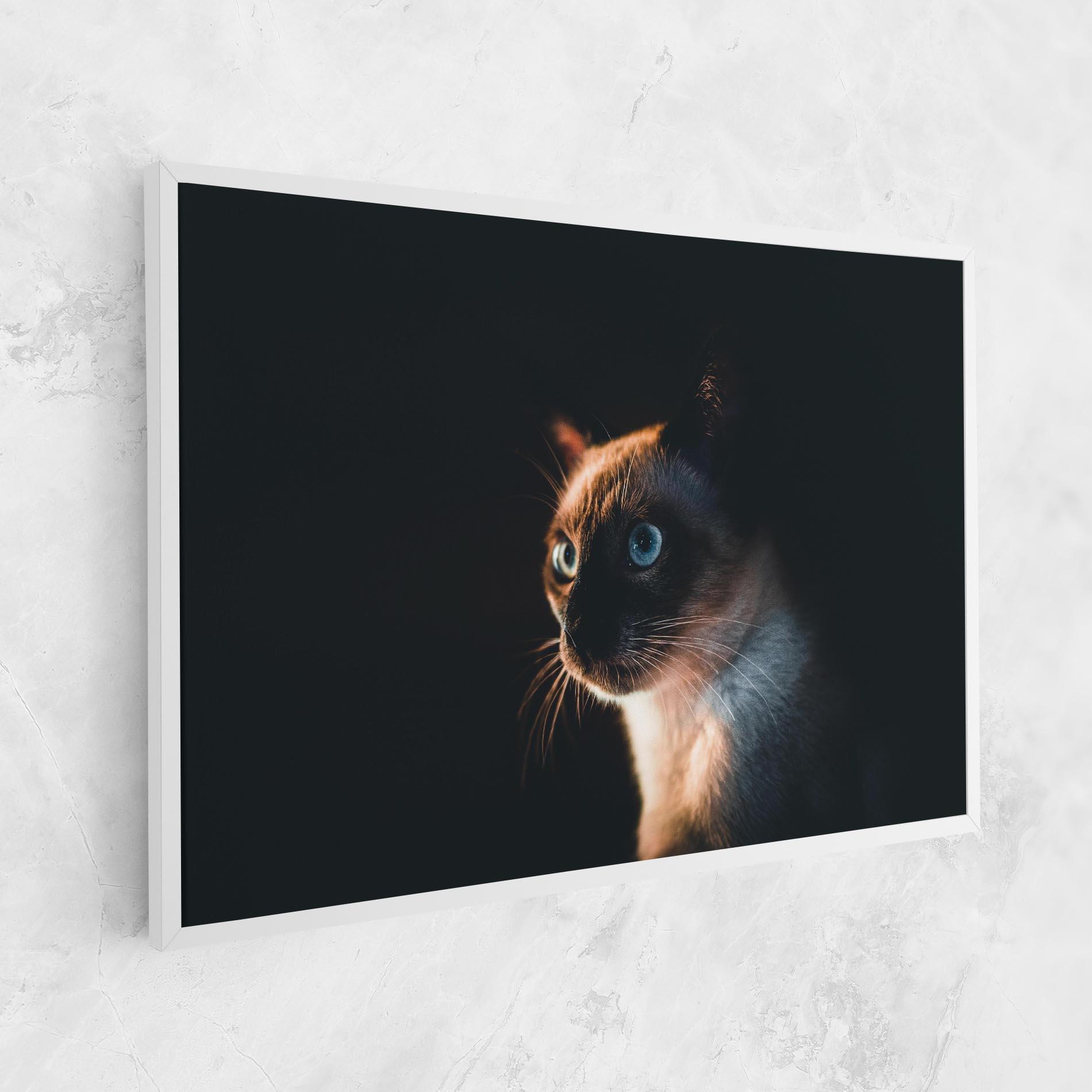 Leinwandbild Blue Eyes Cat In Dark mockup 1