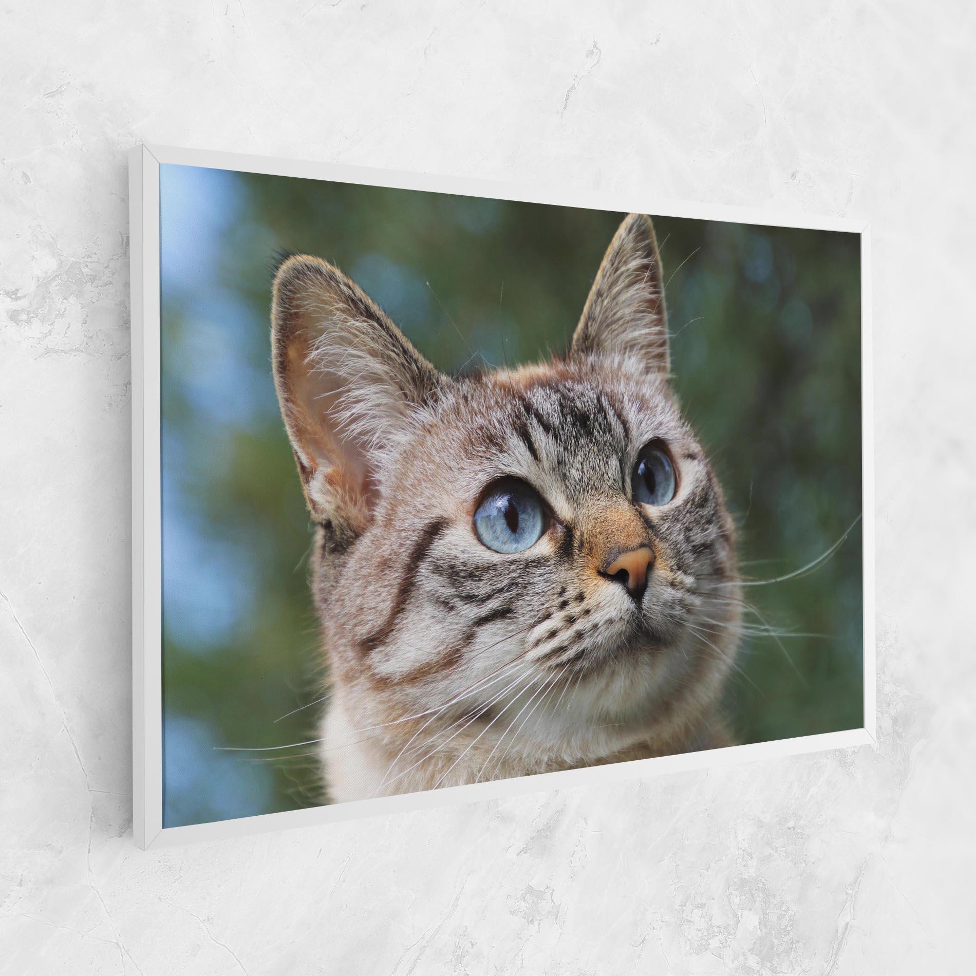 Leinwandbild Blue Eyes Cutie mockup 1