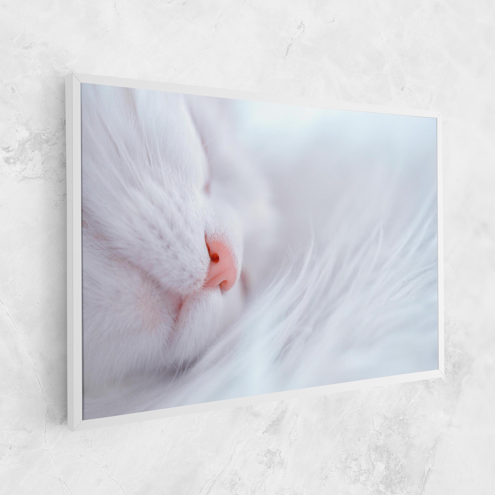 Leinwandbild Dreamy White Cat mockup 1