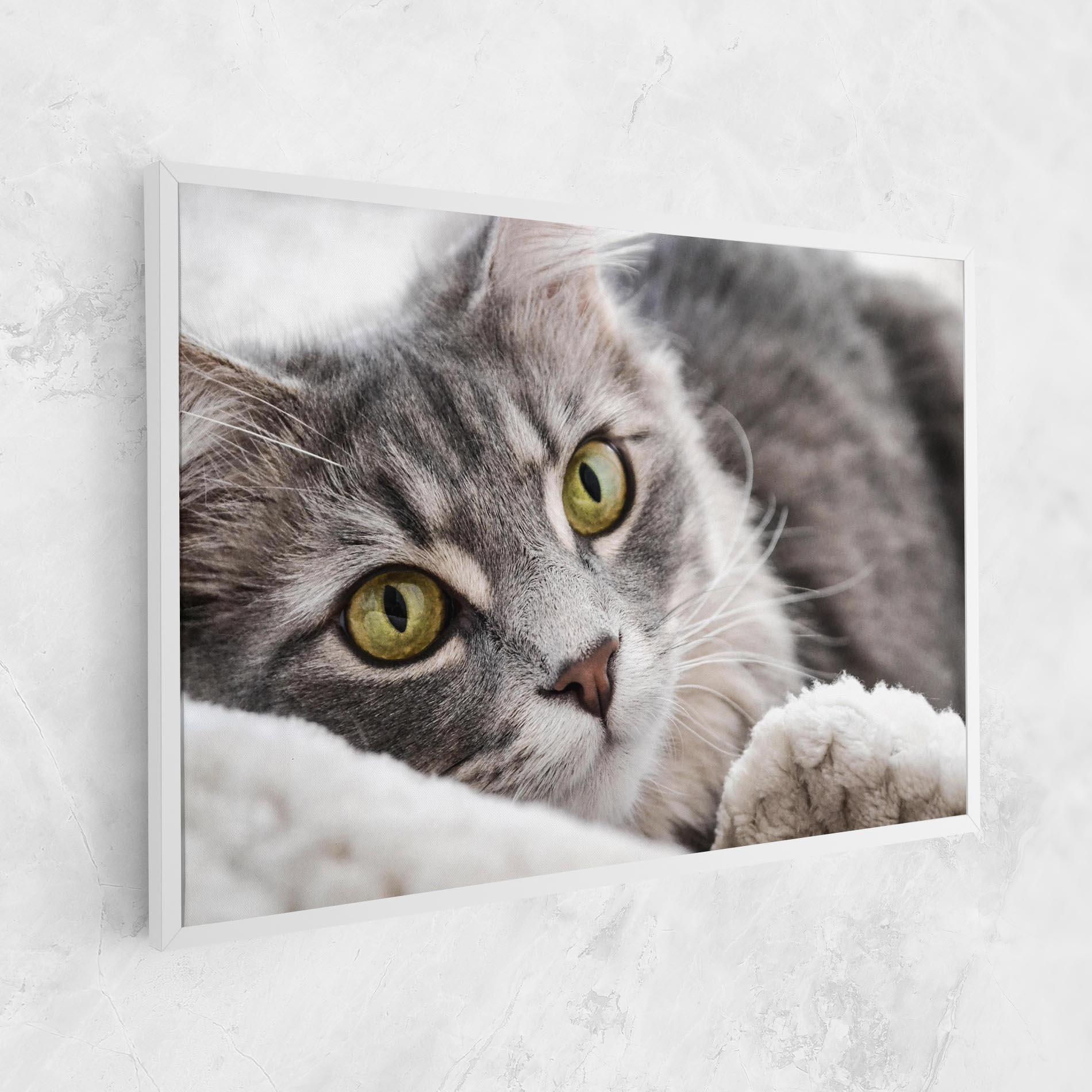 Leinwandbild Grey Fluffy Cat mockup 1