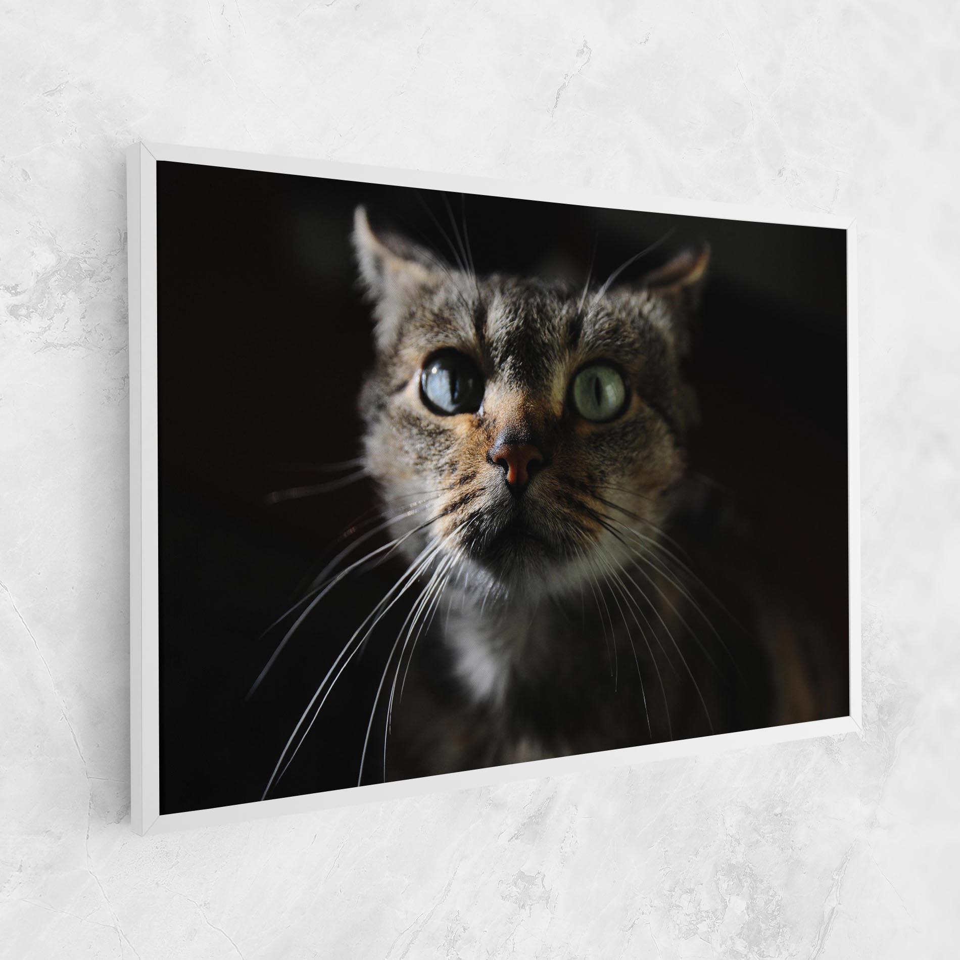 Leinwandbild Playful Cat mockup 1