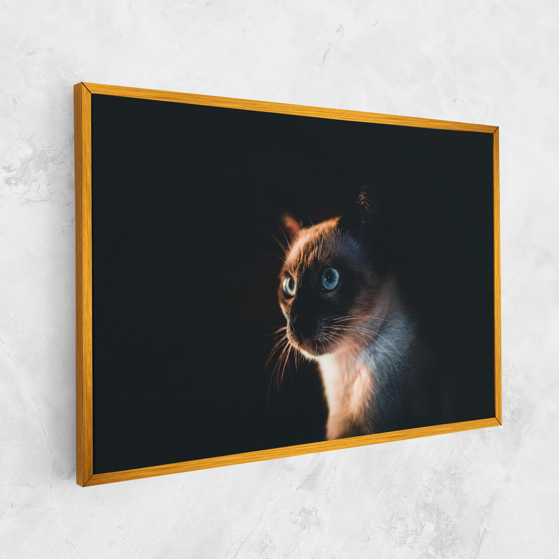 Leinwandbild Blue Eyes Cat In Dark mockup 1