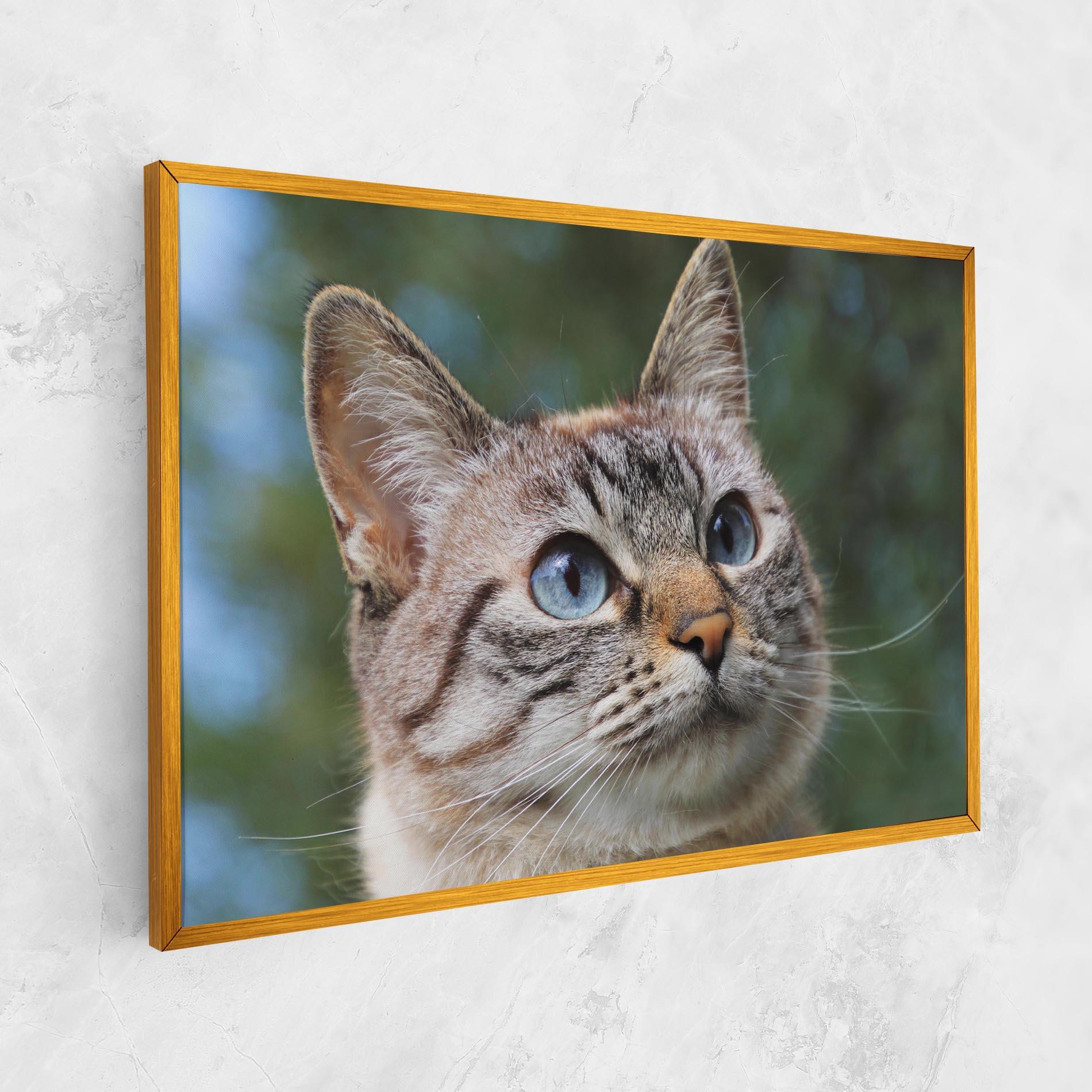 Leinwandbild Blue Eyes Cutie mockup 1