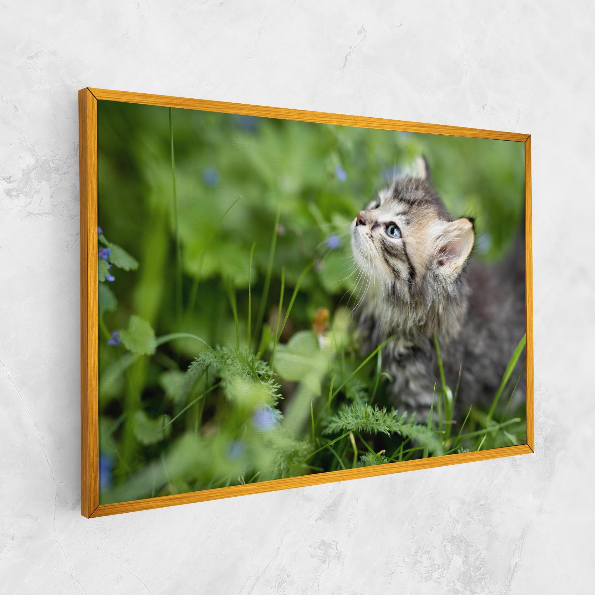 Leinwandbild Brown Baby Cat mockup 1