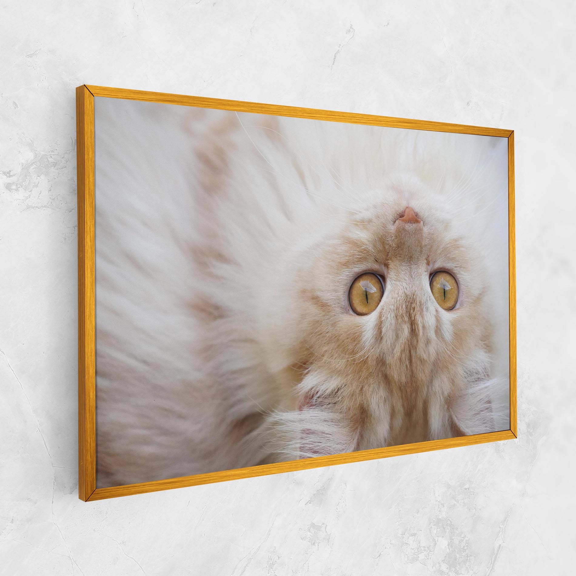 Close Up Yellow Eyes Cat mockup 1
