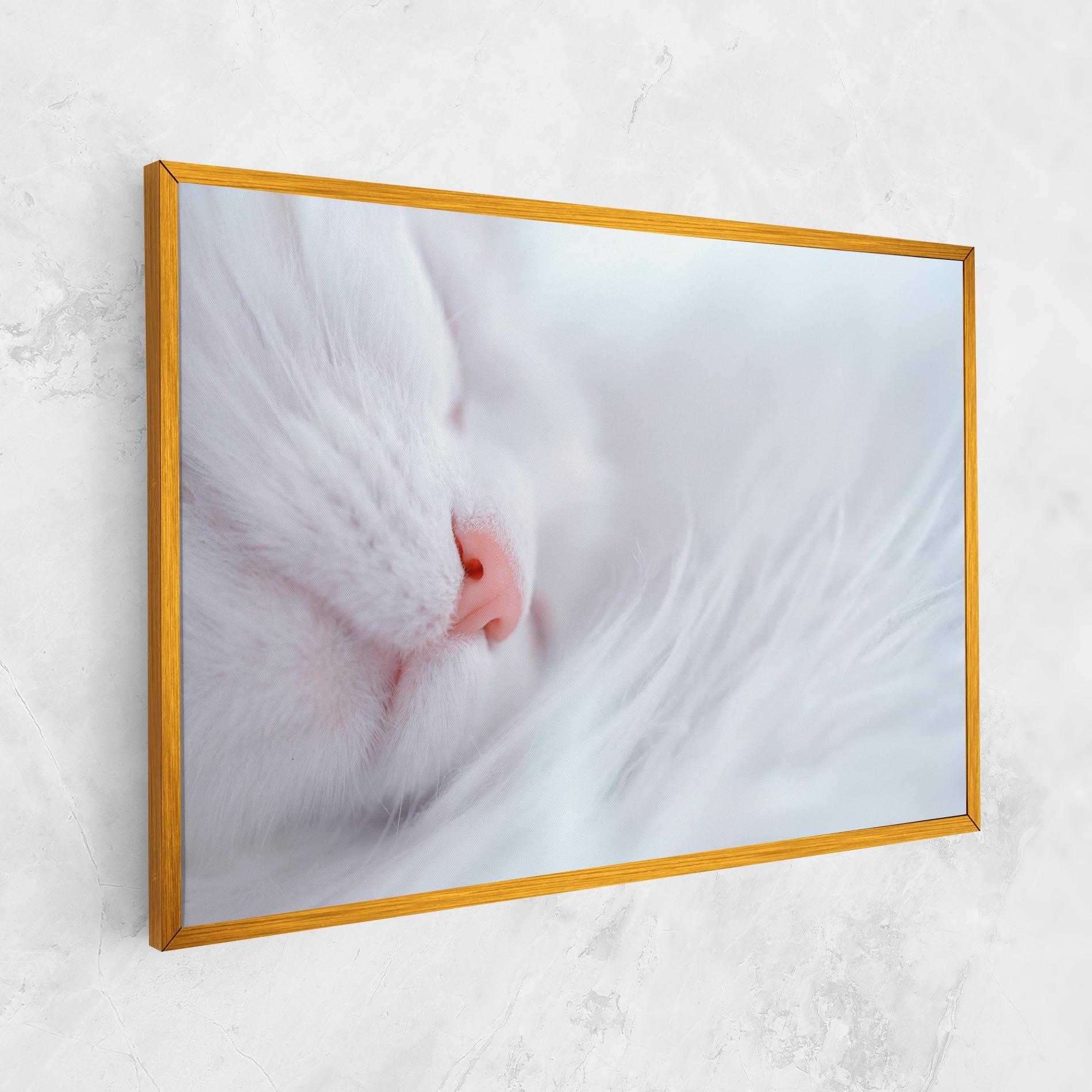 Leinwandbild Dreamy White Cat mockup 1