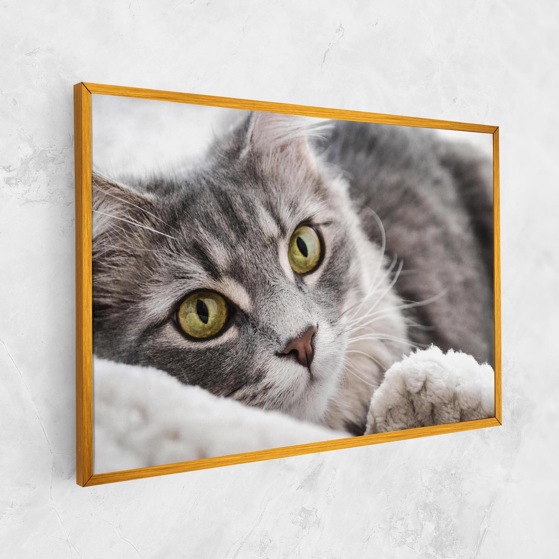 Leinwandbild Grey Fluffy Cat mockup 1