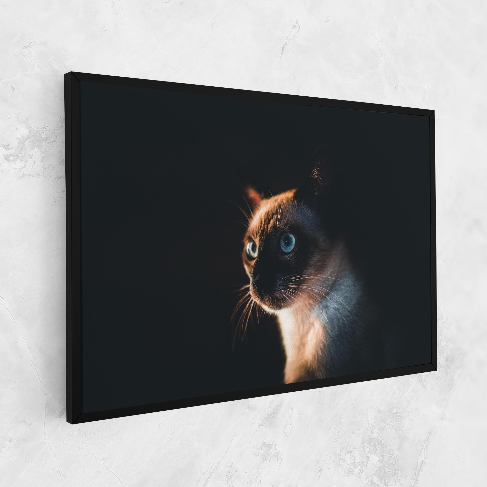 Leinwandbild Blue Eyes Cat In Dark mockup 1