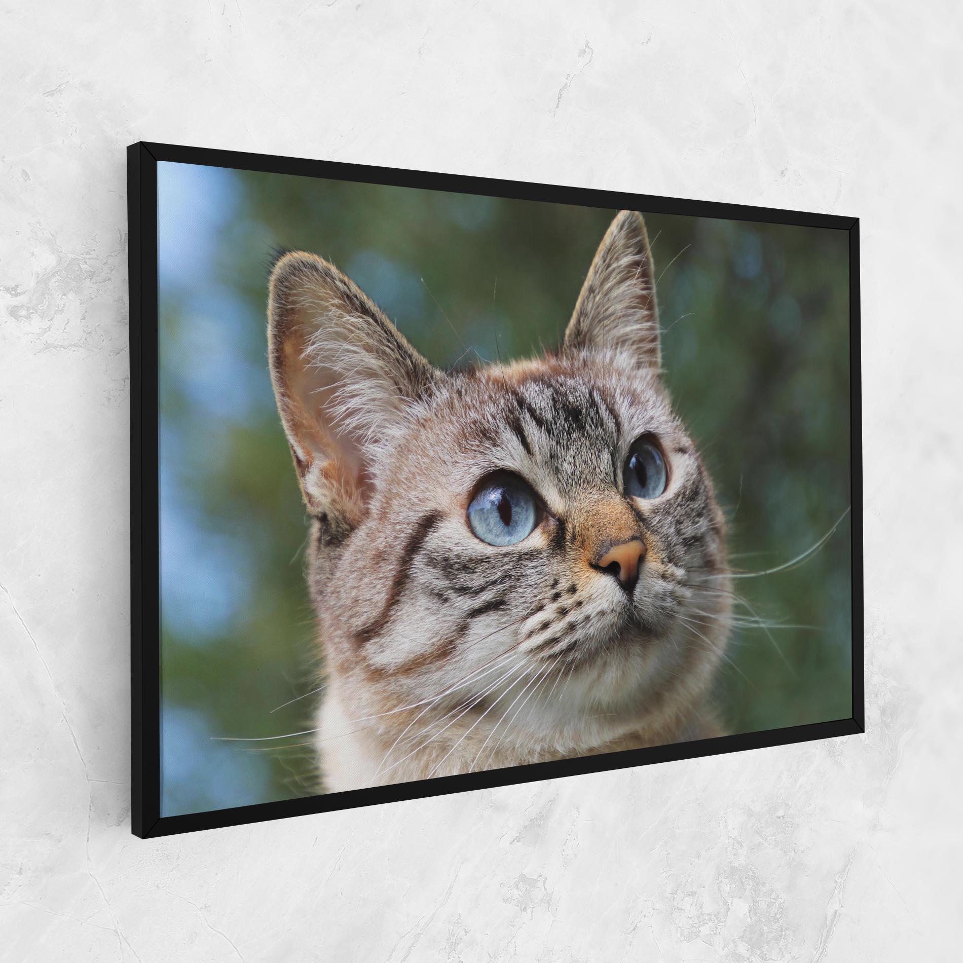 Leinwandbild Blue Eyes Cutie mockup 1