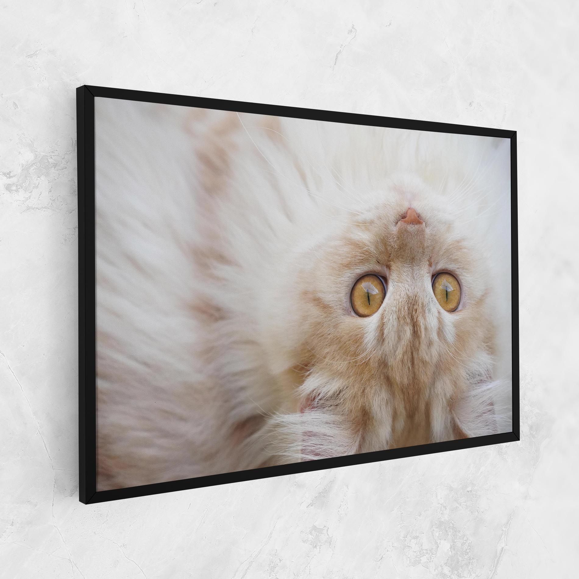 Close Up Yellow Eyes Cat mockup 1