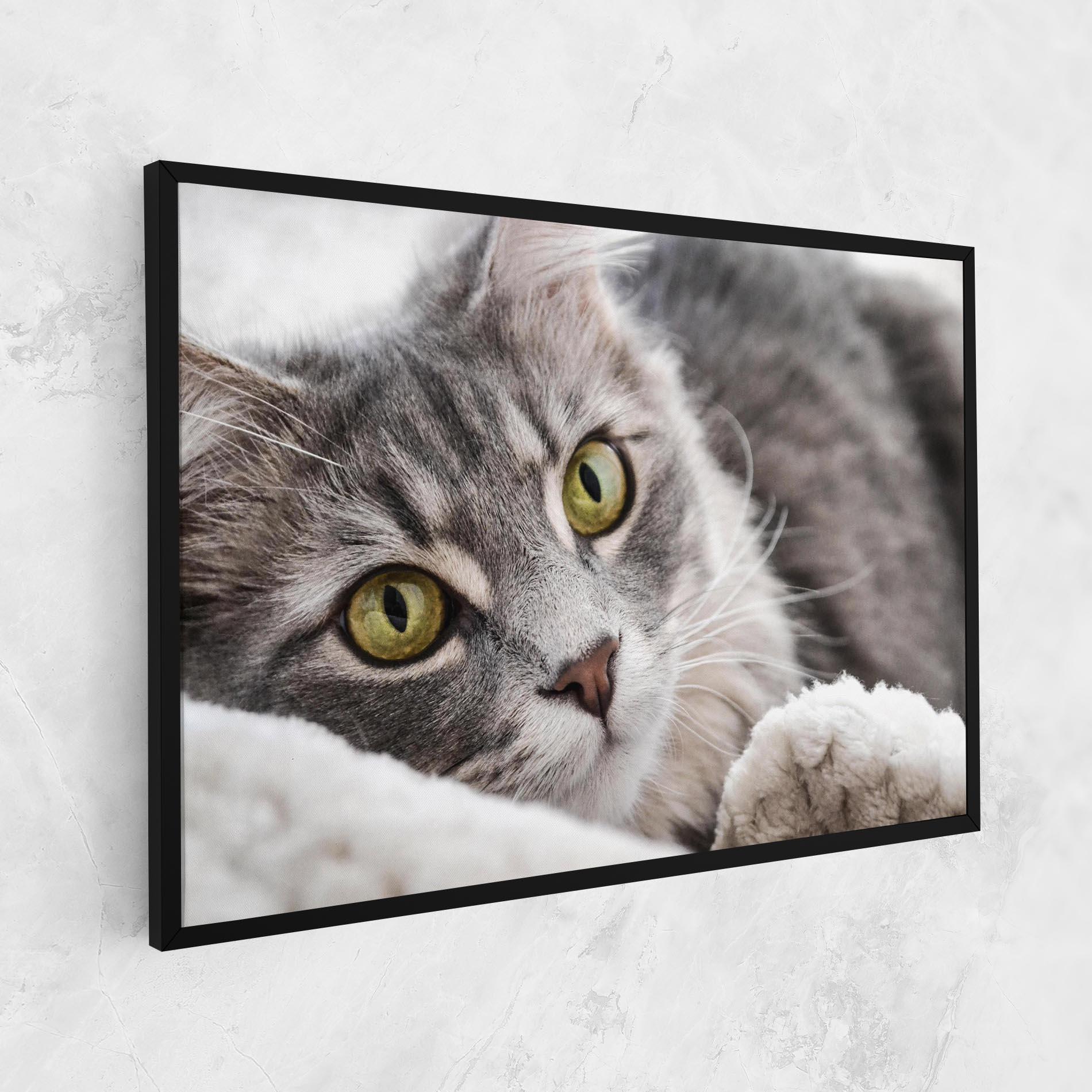 Leinwandbild Grey Fluffy Cat mockup 1