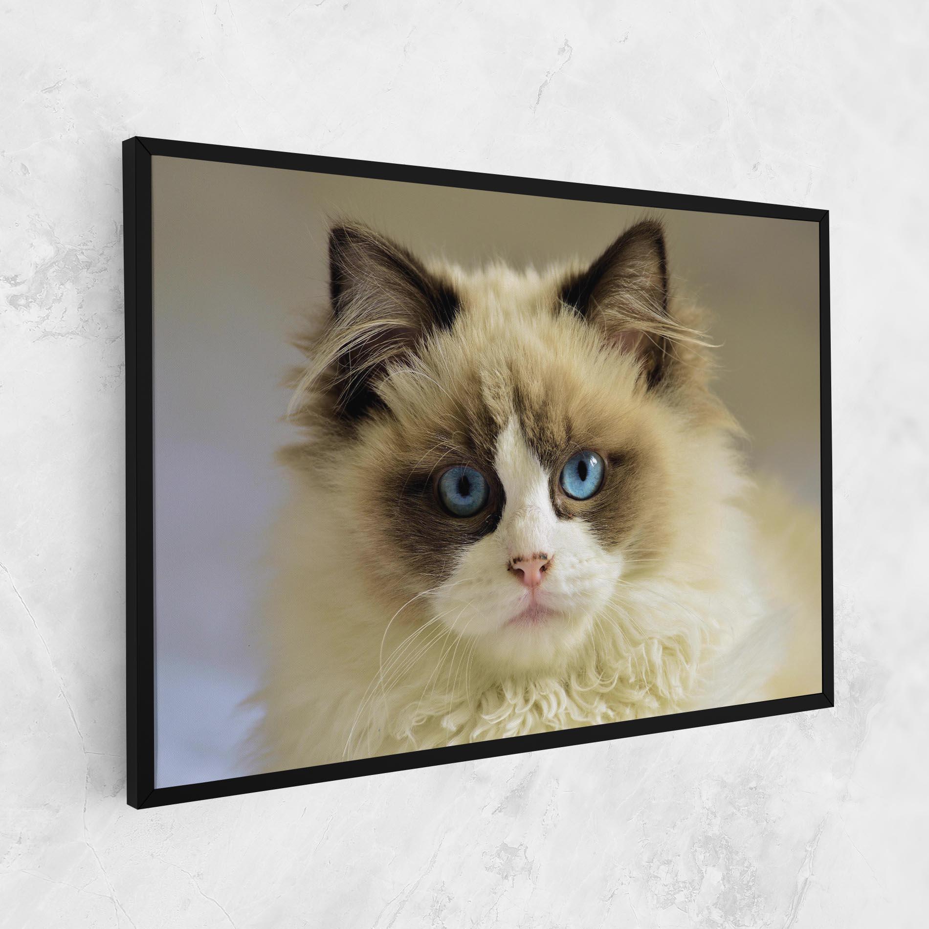 Leinwandbild Interesting Blue Eyes Cat mockup 1