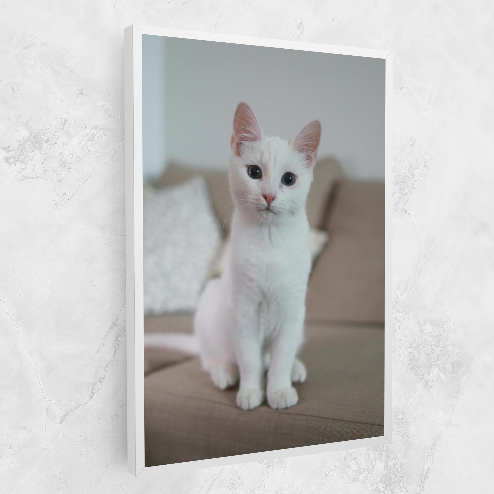 Leinwandbild Beautiful White Cat mockup 1