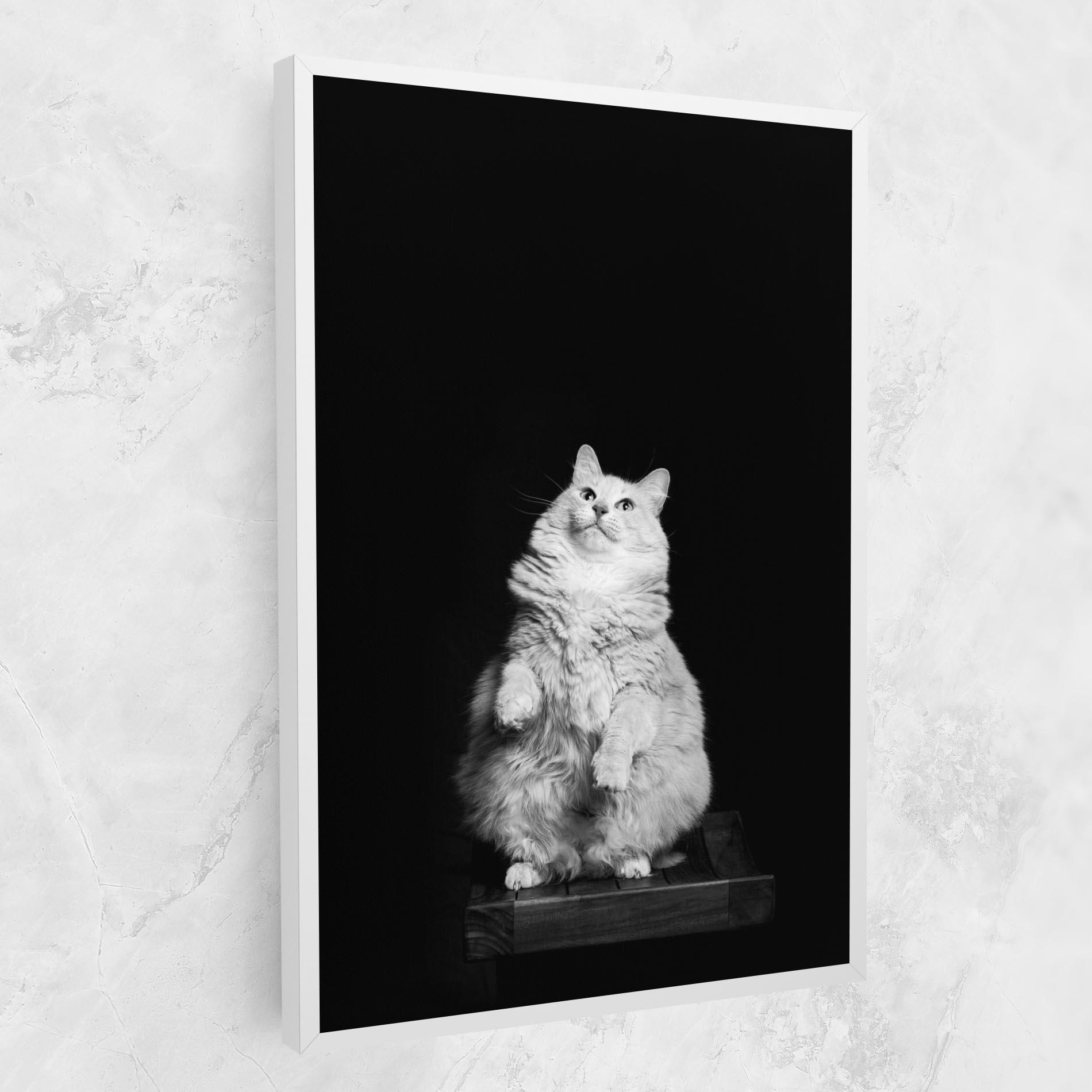 Leinwandbild Big Fluffy Cat mockup 1