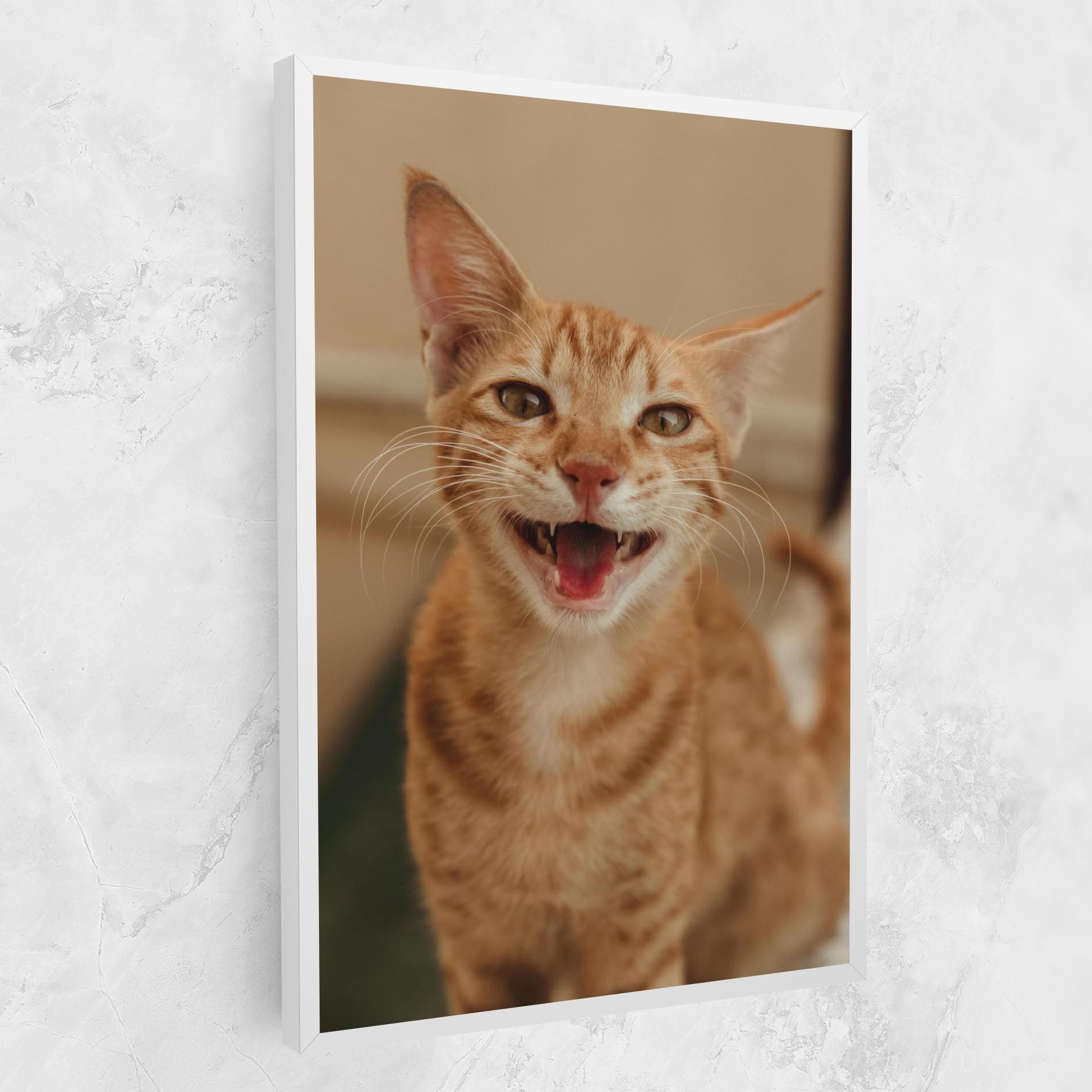 Orange Cat Smiling mockup 1