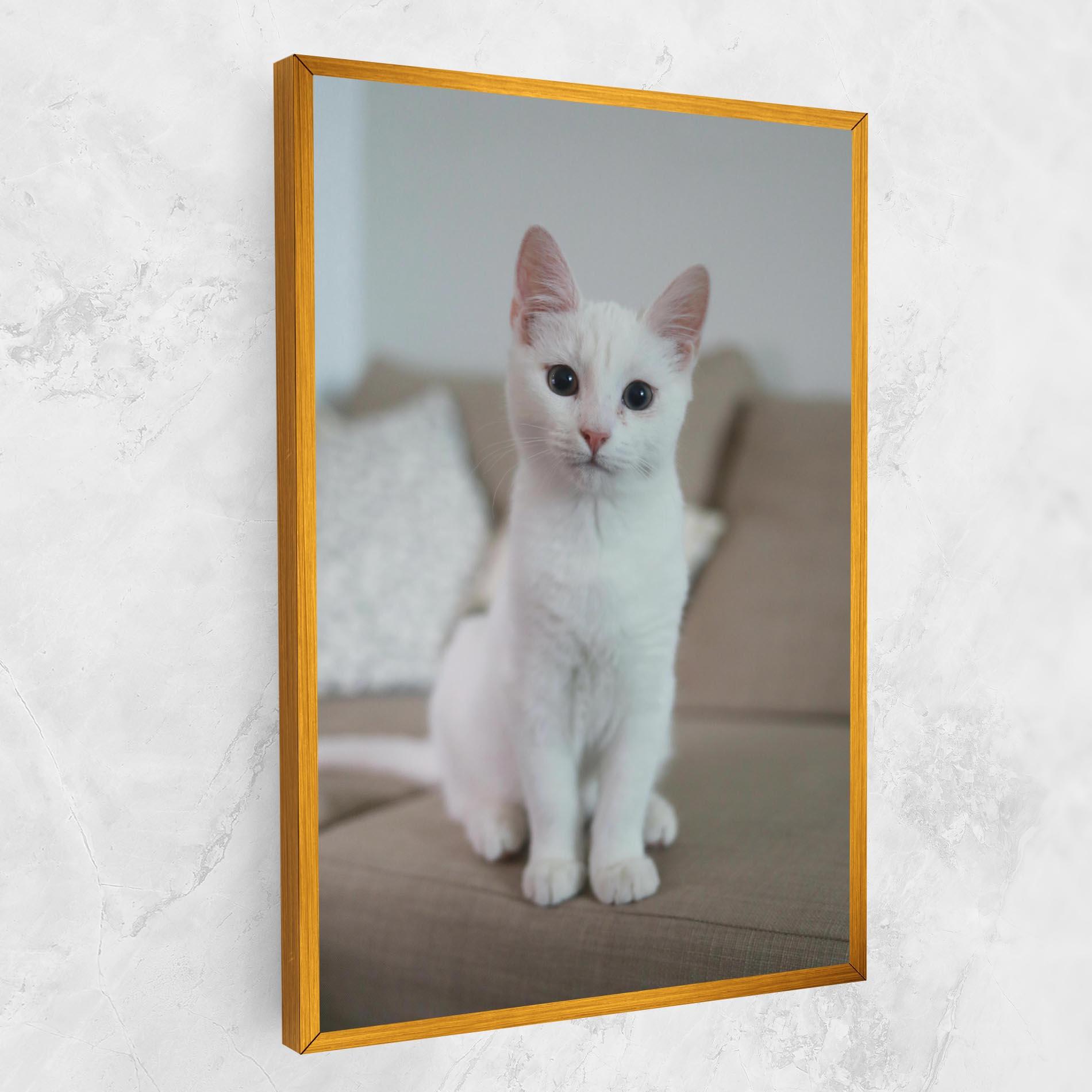 Leinwandbild Beautiful White Cat mockup 1