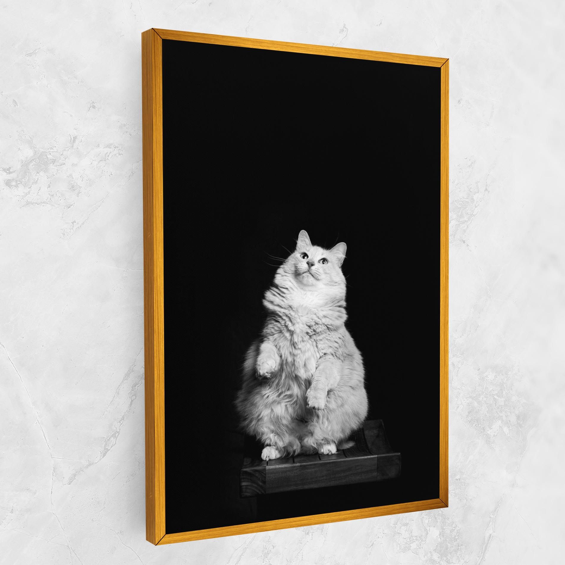 Big Fluffy Cat mockup 1