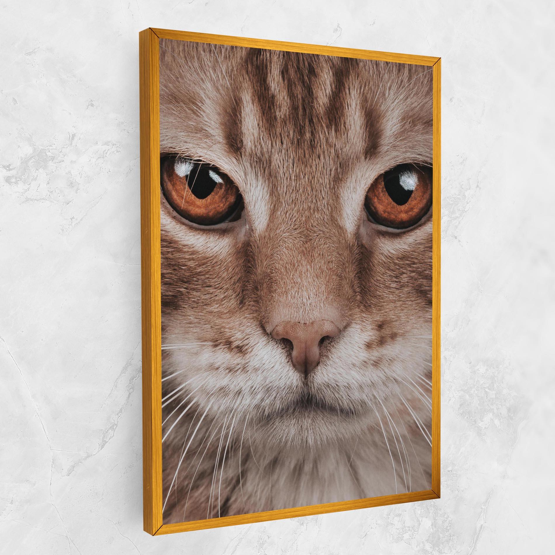 Leinwandbild Fire Eyes Cat mockup 1