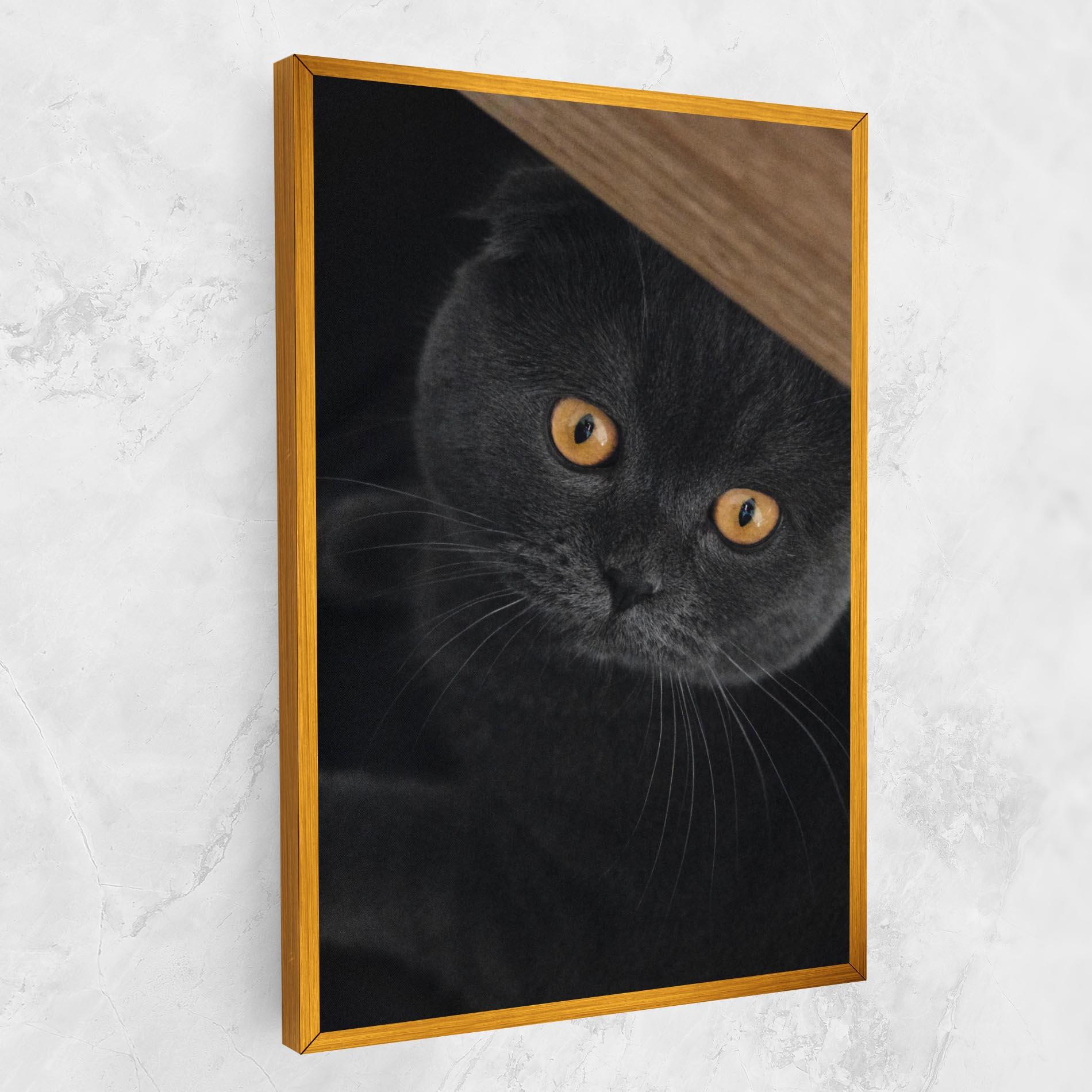 Leinwandbild Grey Cat With Orange Eyes mockup 1