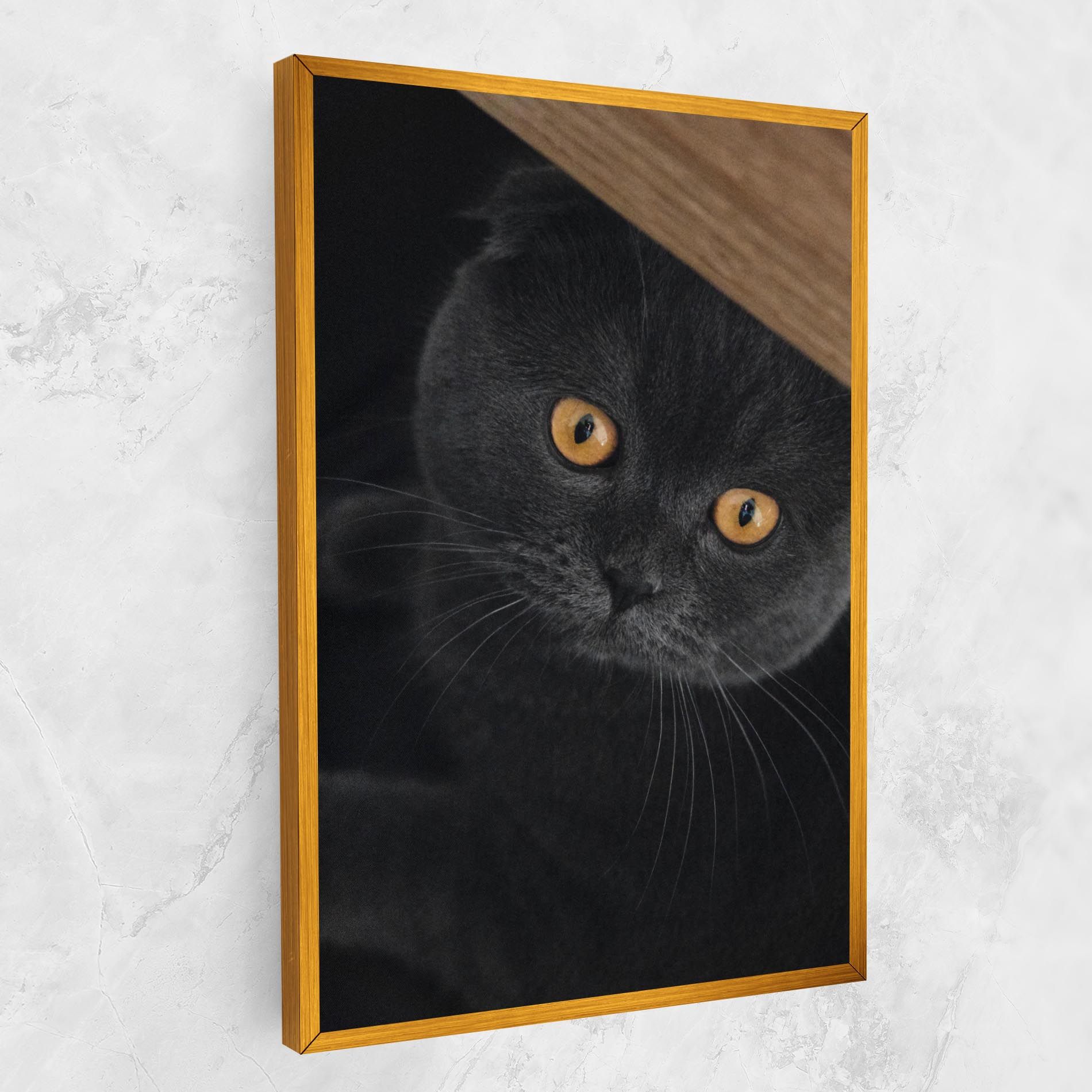 Grey Cat With Orange Eyes mockup 1