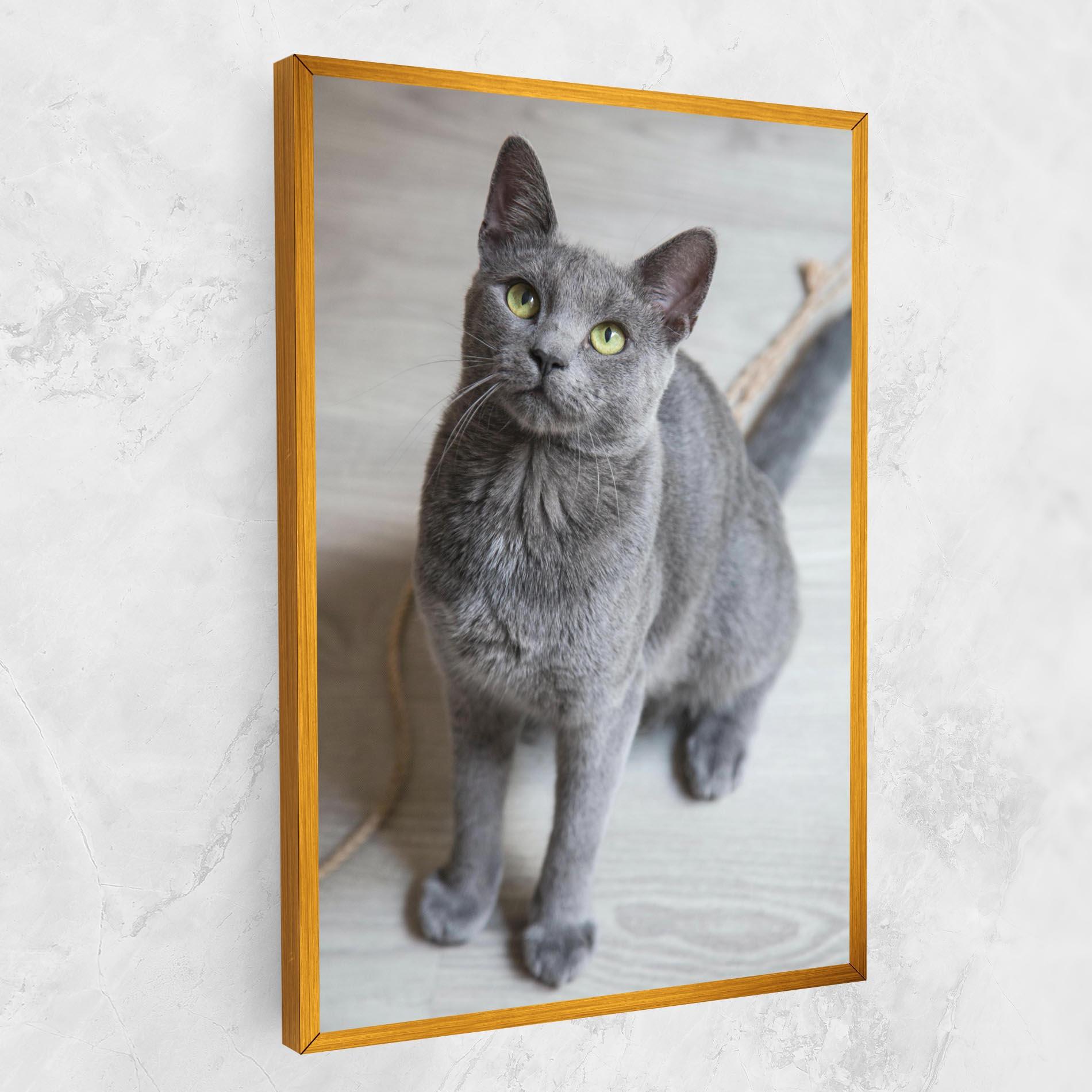 Leinwandbild Grey Green Cat Eyes mockup 1