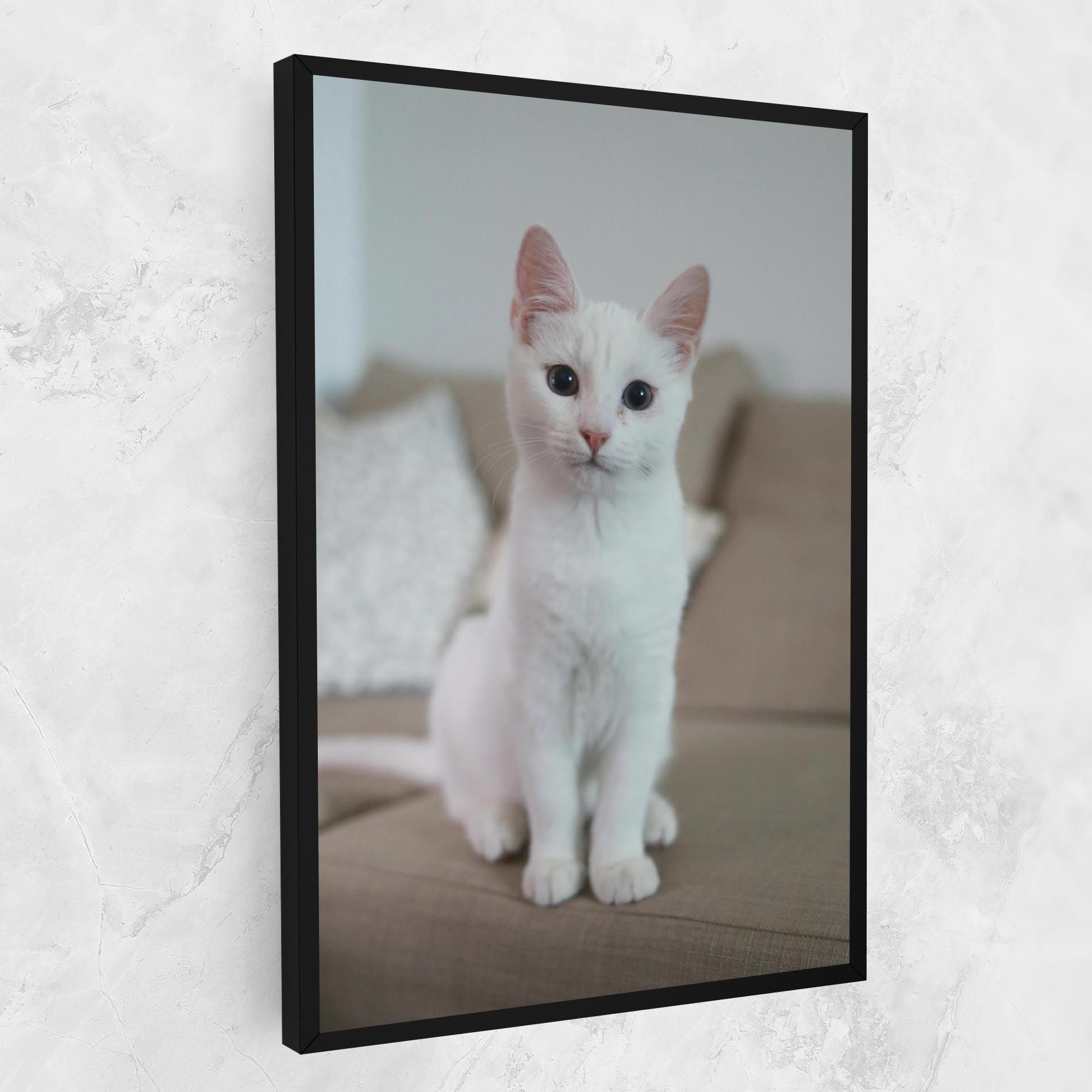 Beautiful White Cat mockup 1