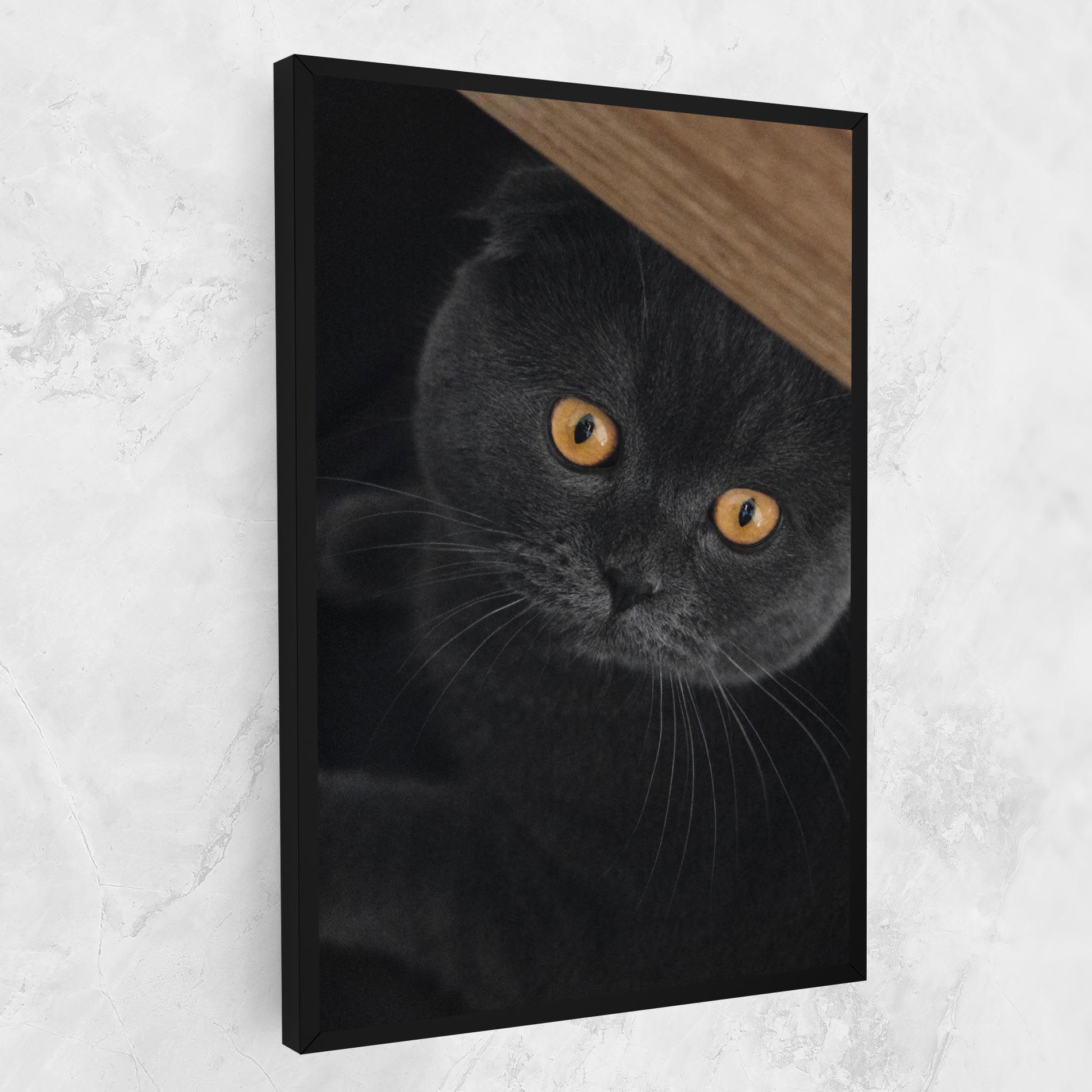 Grey Cat With Orange Eyes mockup 1
