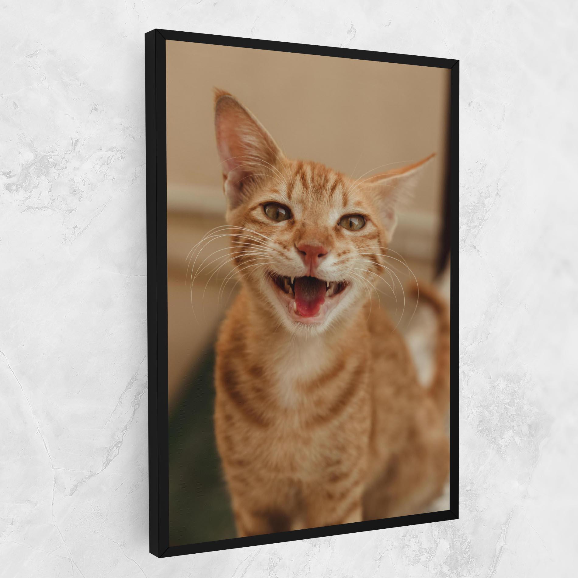 Leinwandbild Orange Cat Smiling mockup 1