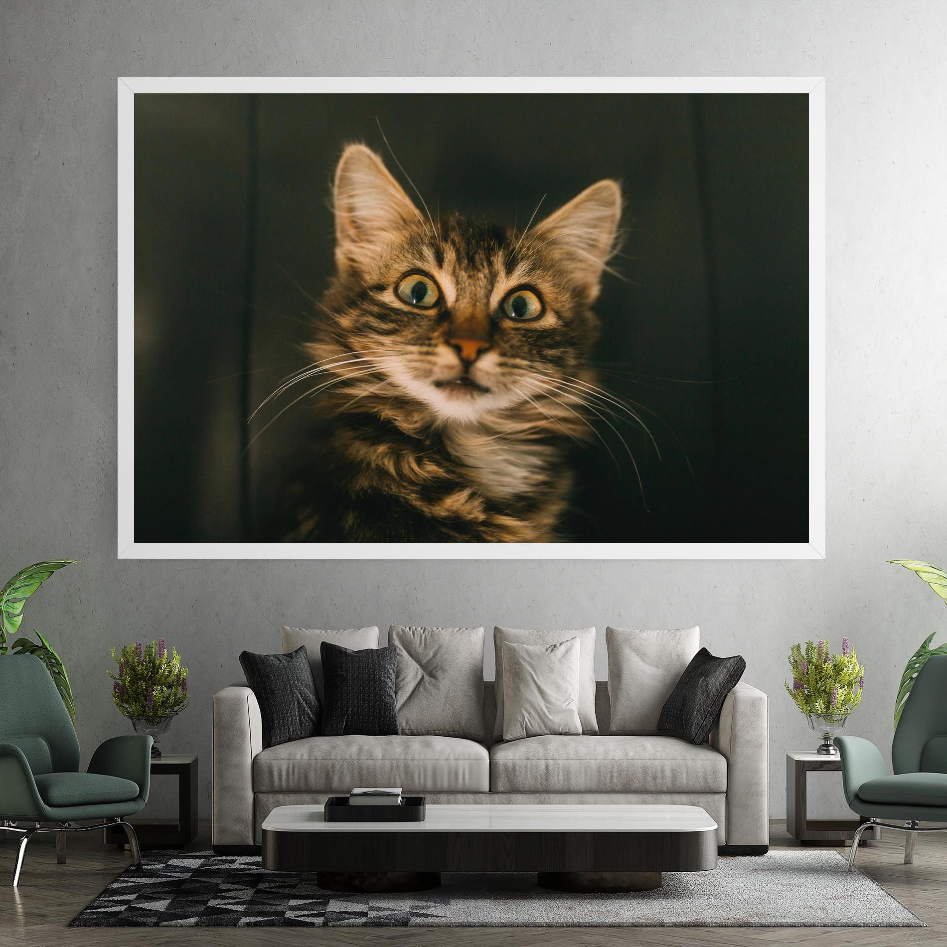 Amazed Cat mockup 7