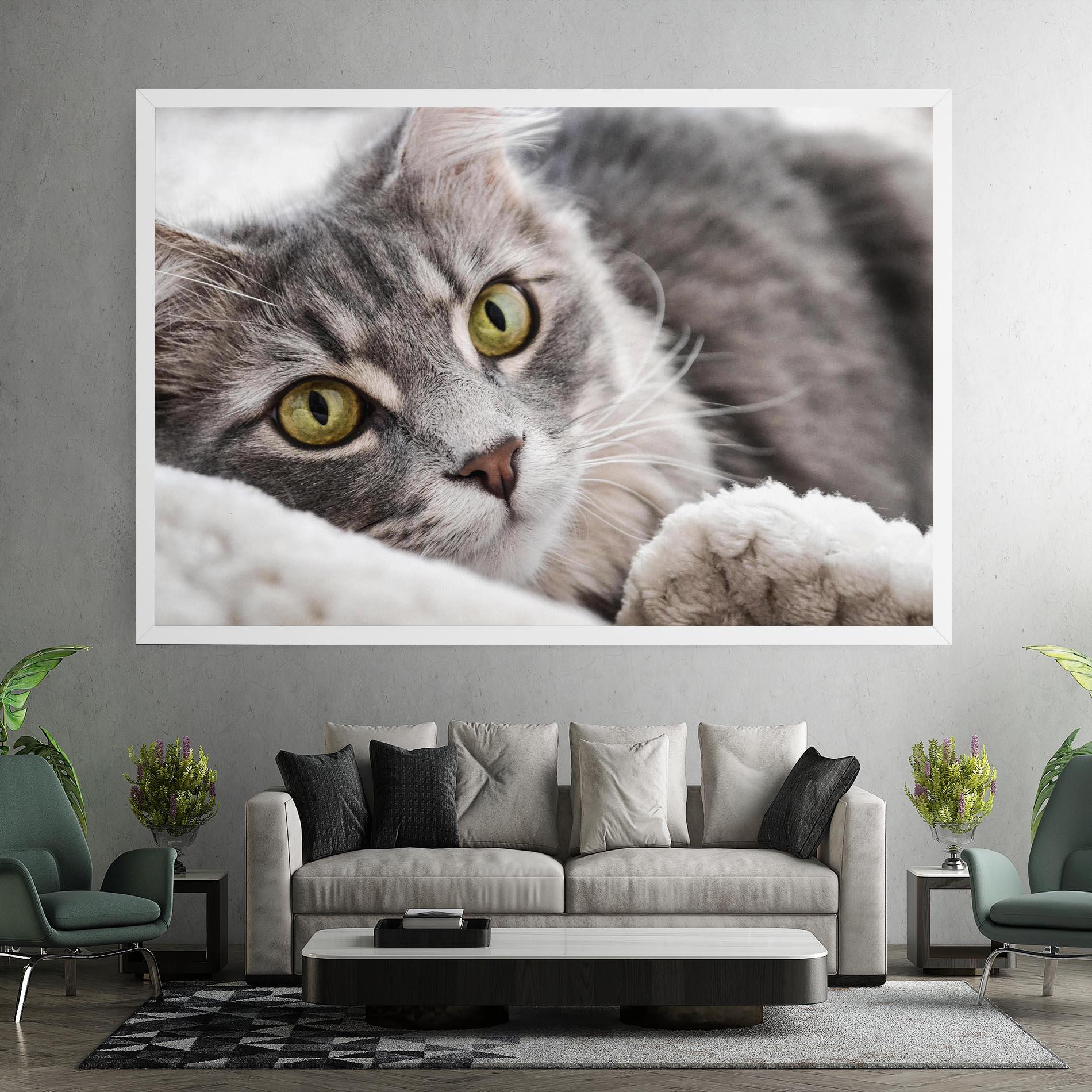 Leinwandbild Grey Fluffy Cat mockup 7