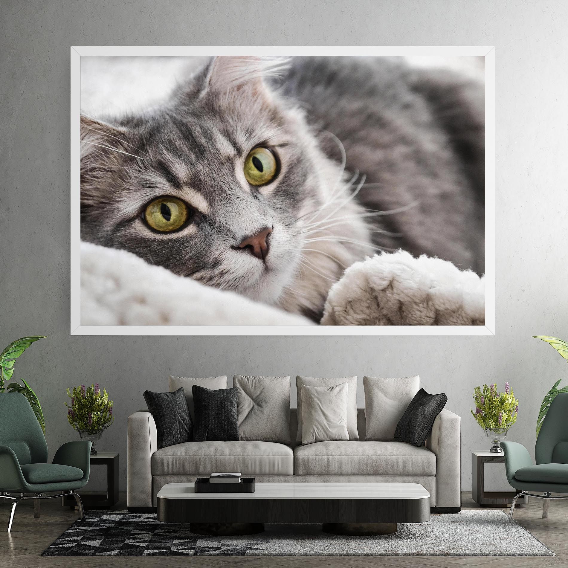 Grey Fluffy Cat mockup 7