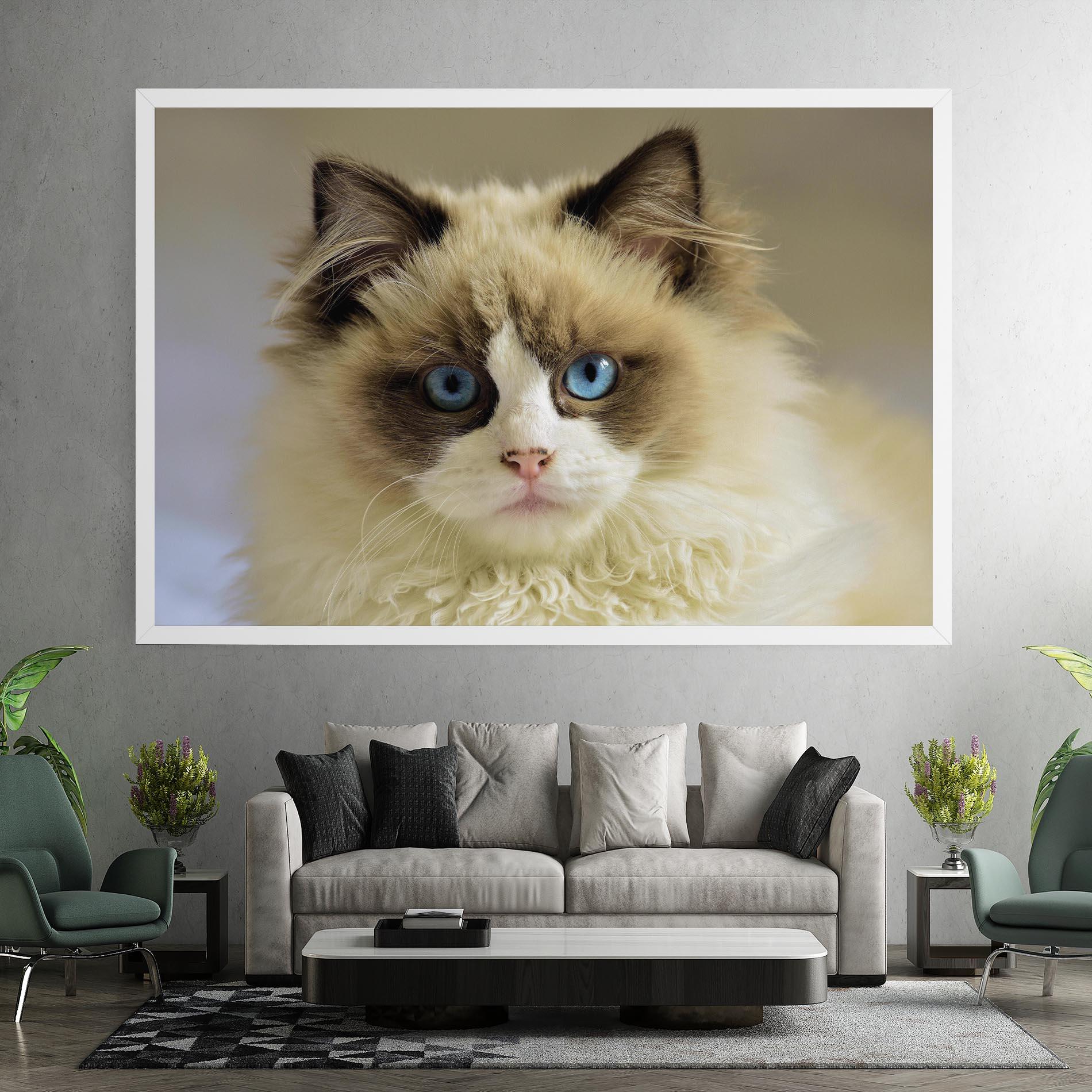 Leinwandbild Interesting Blue Eyes Cat mockup 7