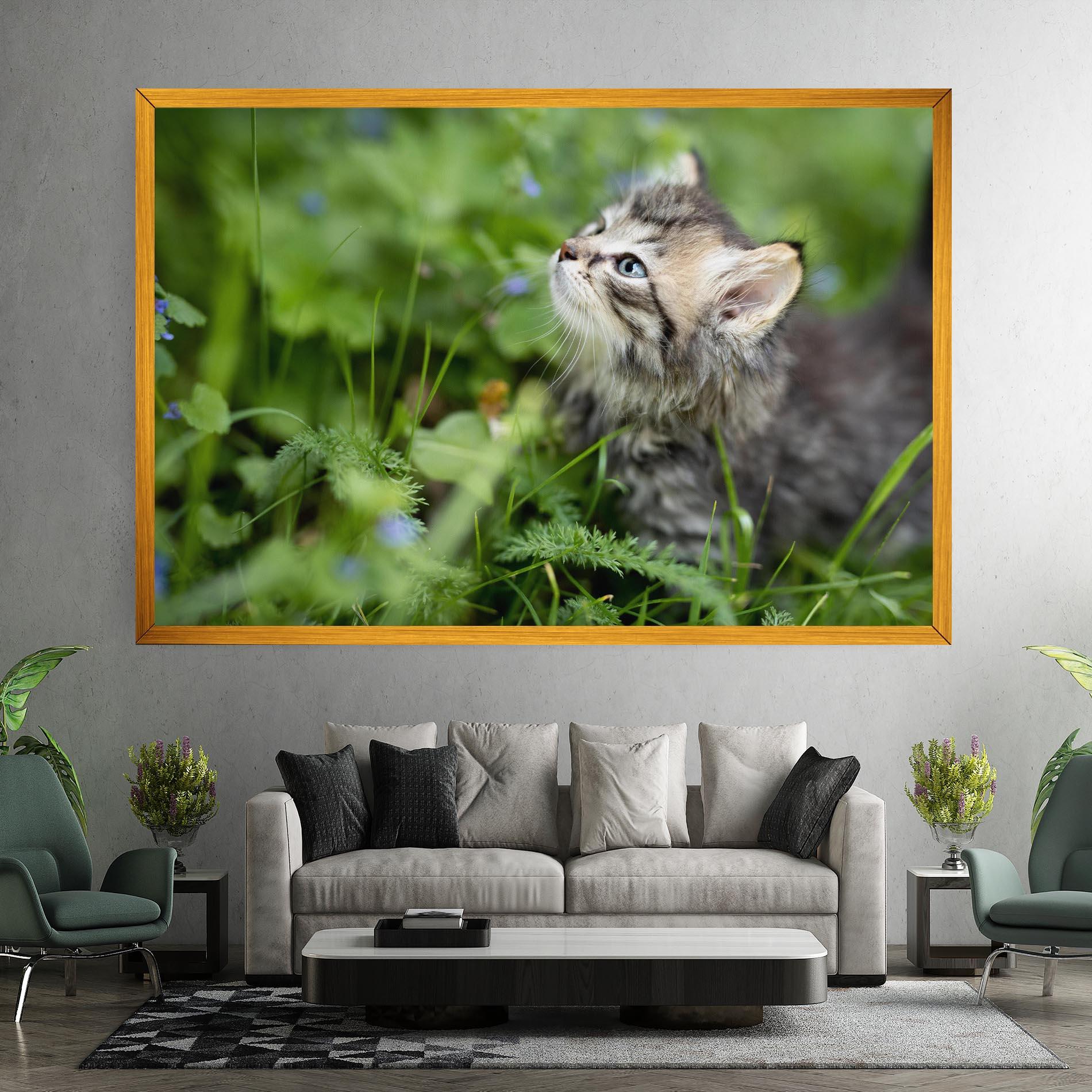 Leinwandbild Brown Baby Cat mockup 7