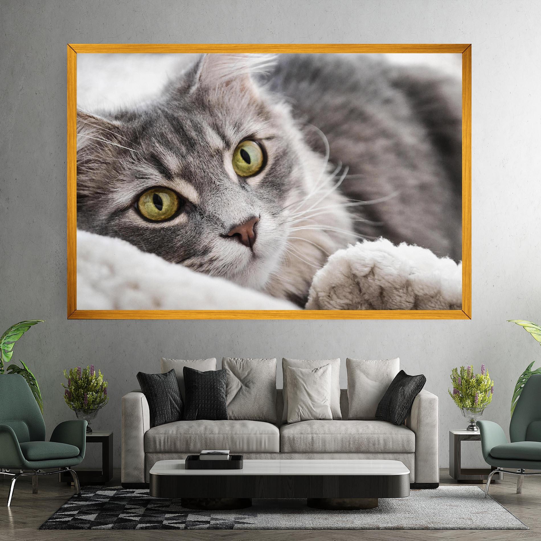 Leinwandbild Grey Fluffy Cat mockup 7