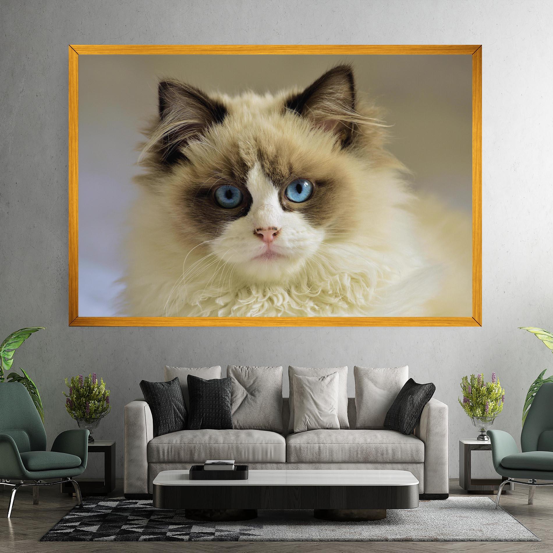Leinwandbild Interesting Blue Eyes Cat mockup 7