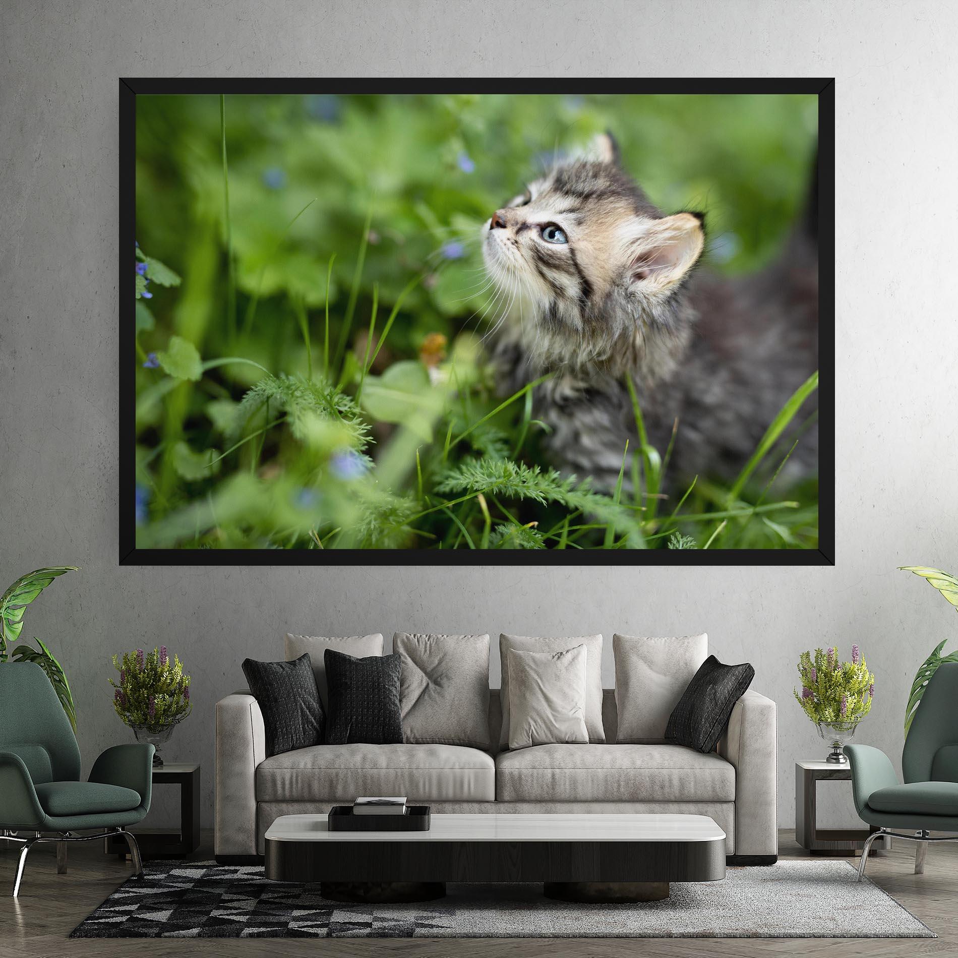 Leinwandbild Brown Baby Cat mockup 7