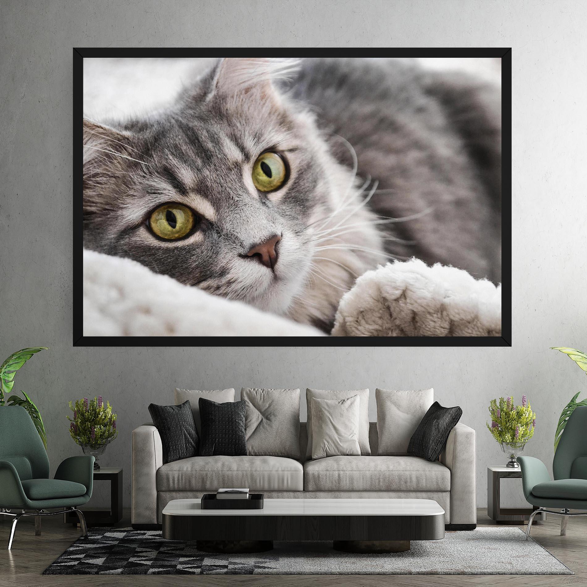 Leinwandbild Grey Fluffy Cat mockup 7