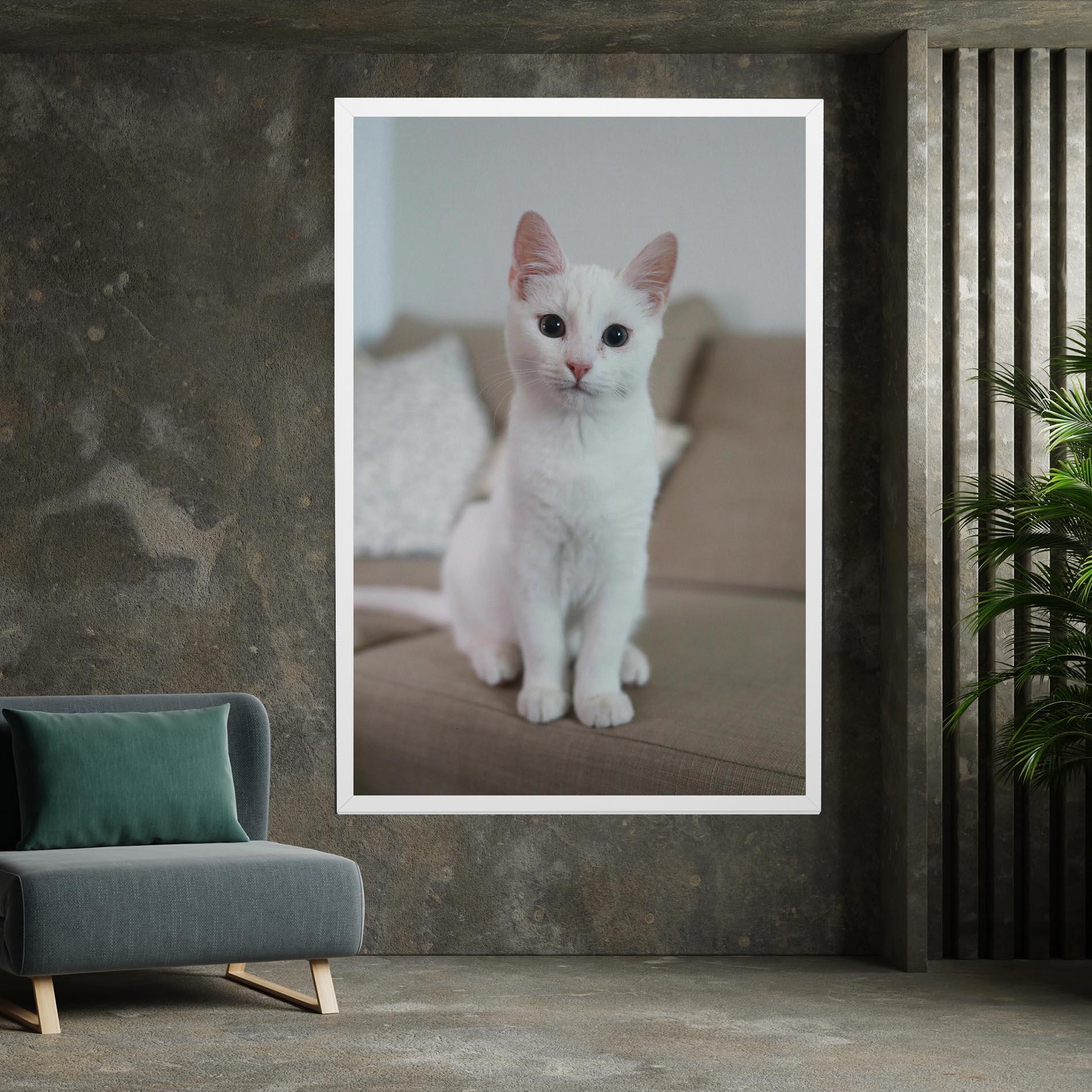 Leinwandbild Beautiful White Cat mockup 7